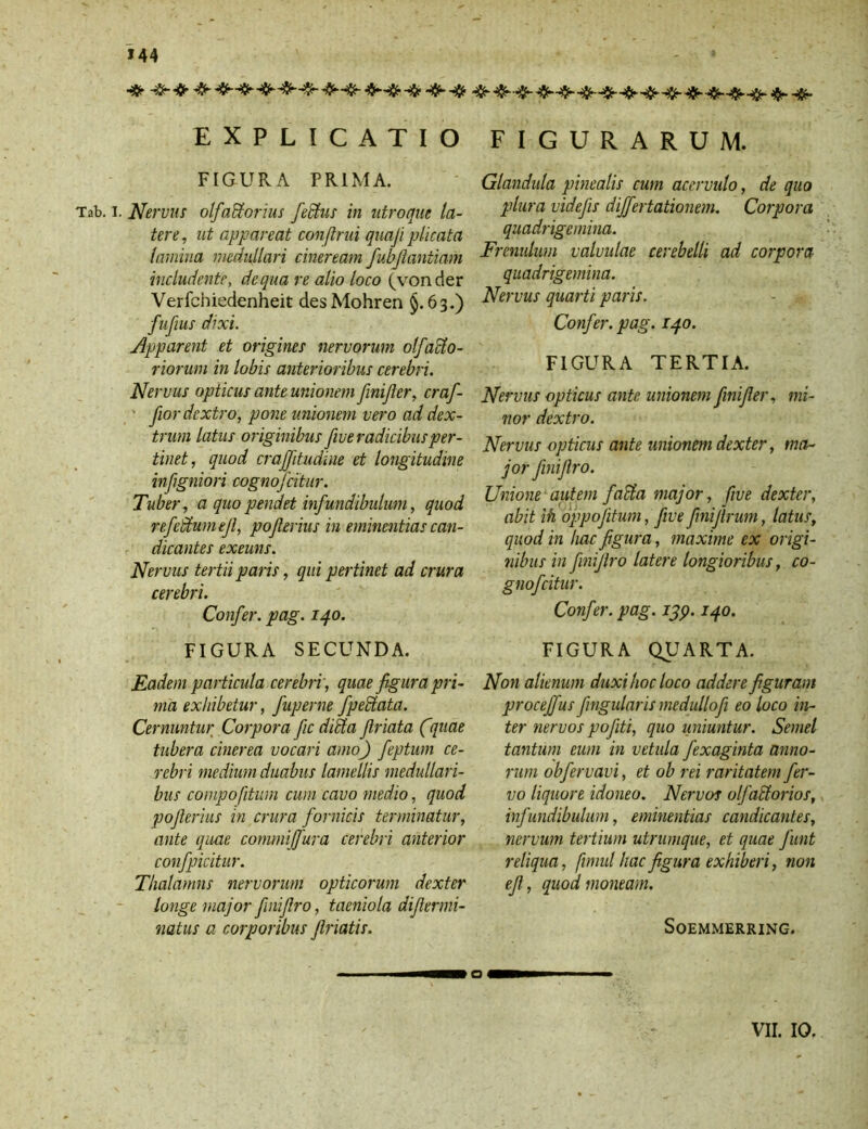 EXPLICATIO FIGURA PRIMA. Tab. i. Nervus olfatiorius fetius in utroque la- tere, ut appareat conftrui quaji plicata lamina medullari cineream fubjlantiam includente, de qua re alio loco (vonder Verfehiedenheit desMohren §.63.) fufius dixi. Apparent et origines nervorum olfatio- riorwn in lobis anterioribus cerebri. Nervus opticus ante unionem fini fer, cr af- for dextro, pone unionem vero ad dex- trum latus originibus fve radicibus per- tinet, quod crajfitudine et longitudine infgniori cognofcitur. Tuber, a quo pendet infundibulum, quod refetiumef, poferius in eminentias can- dicantes exeuns. Nervus tertii paris, qui pertinet ad crura cerebri. Confer, pag. 140. FIGURA SECUNDA. Eadem particula cerebri', quae figura pri- ma exhibetur, fuperne fpetiata. Cernuntur Corpora fc ditia friata fquae tubera cinerea vocari amo) feptum ce- rebri medium duabus lamellis medullari- bus conipofitum cum cavo medio, quod po ferius in crura fornicis terminatur, ante quae commijfura cerebri anterior confpicitur. Thalamns nervorum opticorum dexter longe major finifiro, taeniola difiermi- natus a corporibus friatis. FIGURARUM. Glandula pinealis cum acervulo, de quo plura videjis differtationem. Corpora quadrigemina. Frenulum valvulae cerebelli ad corpora quadrigemina. Nervus quarti paris. Confer, pag. 140. FIGURA TERTIA. Nervus opticus ante unionem fnifer, mi- nor dextro. Nervus opticus ante unionem dexter, ma- jor finifiro. Unione autem fatia major, five dexter, abit ih oppofitum, five fnijlrum, latus, quod in hac figura, maxime ex origi- nibus in finifiro latere longioribus, co- gnofcitur. Confer, pag. 13p. 140. FIGURA QUARTA. Non alienum duxi hoc loco addere figuram proceffus fingularis medullo fi eo loco in- ter nervos pofiti, quo uniuntur. Semel tantum eum in vetula fexaginta anno- rum obfervavi, et ob rei raritatem fer- vo liquore idoneo. Nervos olfatiorios, infundibulum, eminentias candicantes, nervum tertium utrumque, et quae fiunt reliqua, fimul hac figura exhiberi, non ejl, quod moneam. SOEMMERRING. VII. IQ.