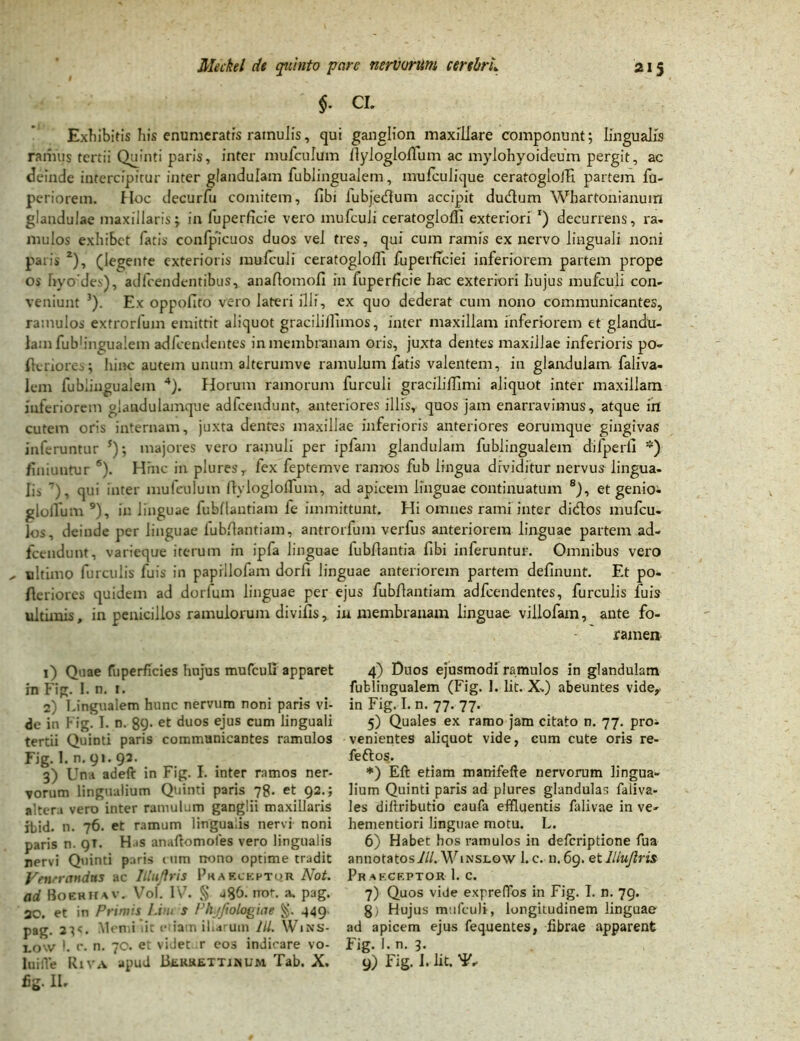 $. CI. Exhibitis liis enumeratis ramulis, qui ganglion maxillare componunt; lingualis ramus tertii Quinti paris, inter mufculum flylogloflum ac mylohyoideum pergit, ac deinde intercipitur inter glandulam fublingualem, mufculique ceratogloiTi partem fu- periorem. Hoc decurfu comitem, fibi iubjedtum accipit du&um Whartonianum glandulae maxillaris; in fuperficie vero mufculi ceratoglofli exteriori ‘) decurrens', ra- mulos exhibet fatis confpicuos duos vel tres, qui cum ramis ex nervo linguali noni paris 2), (legente exterioris mufculi ceratogloiTi fuperfibiei inferiorem partem prope os' hyo de,'), adfcendentibus, anallomoli in fuperficie hac exteriori hujus mufculi con- veniunt 3). Ex oppofito vero lateri illi, ex quo dederat cum nono communicantes, ramulos extrorfum emittit aliquot graciliilimos, inter maxillam inferiorem et glandu- lam fubhngualem adfeendentes in membranam oris, juxta dentes maxillae inferioris po- fictiores; hinc autem unum alterumve ramulum fatis valentem, in glandulam faliva- Icm fubiingualein 4). Horum ramorum furculi graciliffimi aliquot inter maxillam inferiorem glaadulamque adfcendunt, anteriores illis, quos jam enarravimus, atque in cutem oris internam, juxta dentes maxillae inferioris anteriores eorumque gingivas inferuntur *); majores vero ramuli per ipfam glandulam fublingualem difperii *) finiuntur s). Hrnc in plures, fex feptemve ramos fub lingua dividitur nervus lingua- lis 7), qui inter mufculum flvlogloffum, ad apicem linguae continuatum 8), et genio- g lolium 9), in linguae fubflantiam fe immittunt. Hi omnes rami inter dieftos mufeu- ]os, deinde per linguae fubflantiam, antrorfum verfus anteriorem linguae partem ad- fcendunt, varieque iterum in ipfa linguae fubflantia fibi inferuntur. Omnibus vero „ ultimo furculis fuis in paprllofam dorfi linguae anteriorem partem definunt. Et po- fleriores quidem ad dorfurn linguae per ejus fubflantiam adfeendentes, furculis fuis ultimis, in penicillos ramulorum divifls, in membranam linguae villofam, ante fo- ramen 1) Quae fuperficies hujus mufculi apparet in Fig. I. n. r. 2) Lingualem hunc nervum noni paris vi- de in Fig. I. n. 89- et duos ejus cum linguali tertii Quinti paris communicantes ramulos Fig. 1. n. 91. 92. 3) Una adeft in Fig. I. inter ramos ner- vorum lingualium Quinti paris 78. et 92.; altera vero inter ramulum ganglii maxillaris ibid. n. 76. et ramum lingualis nervi noni paris n. 9T. Has anaftomofes vero lingualis nervi Quinti paris cum mano optime tradit Venrrandns ac Illujtris Praeceptor Not. ad. Boehhav. Vol. IV. § aS6. not. a. pag. 20. et in Primis Lini s Phjftologiae §. 449 pag. 2Memi iic edam iharum lll. Wins- low I. e. n. 70. et videt r eos indicare vo- luiiVe Riva apud Berrettinum Tab. X. fig. II- 4) Duos ejusmodi ramulos in glandulam fublingualem (Fig. I. Iit. X-) abeuntes vide, in Fig. I. n. 77. 77. 5) Quales ex ramo jam citato n. 77. pro- venientes aliquot vide, cum cute oris re- feftos. *) Eft etiam manifefte nervorum lingua- lium Quinti paris ad plures glandulas faliva- les diilributio caufa effluentis falivae in ve- hementiori linguae motu. L. 6) Habet hos ramulos in deferiptione fua annotatos lll. Winslow 1. c. n. 69. et Iliujlris Pr aeceptor 1. c. 7) Quos vide expreffos in Fig. I. n. 79. g) Hujus mufculi, longitudinem linguae ad apicem ejus fequentes, fibrae apparent Fig. 1. n. 3. 9) Fig. i. Iit. 'F..