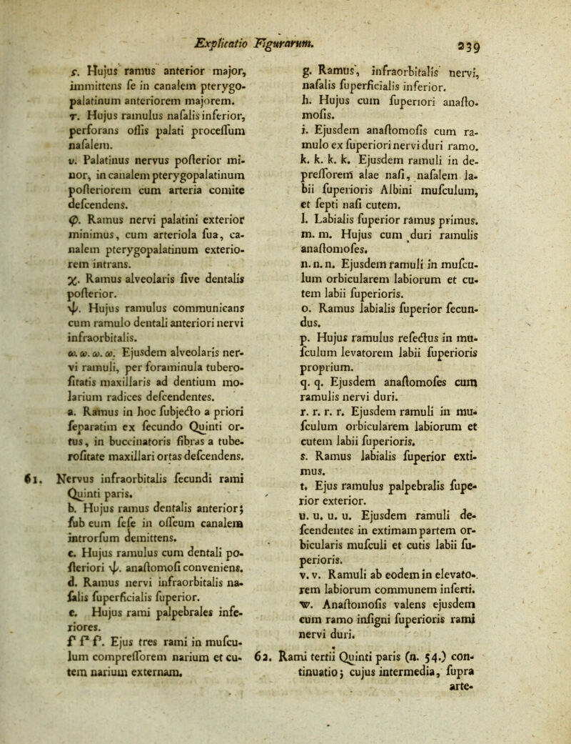 s. Hujus ramus anterior major, immittens fe in canalem pterygo- palatinum anteriorem majorem, r. Hujus ramulus nafaiis inferior, perforans ollis palati procelfum nafalem. v. Palatinus nervus poflerior mi- nor, in canalem pterygopalatinum pofteriorem cum arteria comite defcendens. <p. Ramus nervi palatini exterior minimus, cum arteriola fua, ca- nalem pterygopalatinum exterio- rem intrans. X- Ramus alveolaris live dentalis poflerior. \p. Hujus ramulus communicans cum ramulo dentali anteriori nervi infraorbitalis. o>. oo. oo. oo. Ejusdem alveolaris ner- vi ramuli, per foraminula tubero- fitatis maxillaris ad dentium mo- larium radices defcendentes. a. Ramus in hoc fubje<flo a priori feparatim ex fecundo Quinti or- tus , in buccinatoris fibras a tube- rofitate maxillari ortas defcendens. Nervus infraorbitalis fecundi rami Quinti paris. b. Hujus ramus dentalis anterior; fub eum fefe in olfeum canalem introrfum demittens. e. Hujus ramulus cum dentali po- fleriori \p. anaflomofi conveniens. d. Ramus nervi infraorbitalis na- ialis fuperficialis fuperior. e. Hujus rami palpebrales infe- riores. f P P. Ejus tres rami in mufcu- lum compreflforem narium et cu- tem narium externam. g. Ramus, infraorbitalis nervi, nafaiis fuperficialis inferior. h. Hujus cum fuperiori anaflo- molis. i. Ejusdem anaflomofis cum ra- mulo ex fuperiori nervi duri ramo. k. k. k. k. Ejusdem ramuli in de- prefforem alae nafi, nafalem la- bii fuperioris Albini mufcuium, et fepti nali cutem. l. Labialis fuperior ramus primus. m. m. Hujus cum duri ramulis anaftomofes. n. n. n. Ejusdem ramuli in mufcu- ium orbicularem labiorum et cu- tem labii fuperioris. o. Ramus labialis fuperior fecun- dus. p. Hujus ramulus refedtus in mu- fcuium levatorem labii fuperioris proprium. q. q. Ejusdem anaftomofes cum ramulis nervi duri. r. r. r. r. Ejusdem ramuli in mu- fcuium orbicularem labiorum et cutem labii fuperioris. s. Ramus labialis fuperior exti- mus. t. Ejus ramulus palpebralis fupe- rior exterior. u. u. u. u. Ejusdem ramuli de- fcendentes in extimam partem or- bicularis mufculi et cutis labii fu- perioris. v. v. Ramuli ab eodem in elevato-, rem labiorum communem inferti. vp. Anaflomofis valens ejusdem cum ramo infigni fuperioris rami nervi duri. « 6a. Rami tertii Quinti paris (n. 54.) con- tinuatio ; cujus intermedia, fupra