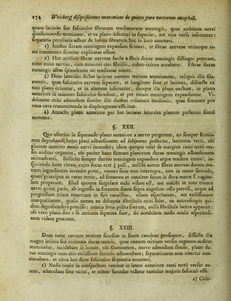 quam lacinias feu fafciculos fibrarum tendinearum meningis, quae ambitum nervi quodammodo terminant, et ex plano ihferiori in fuperius, aut vice verfa inferuntur: fequentia peculiaria adhuc de habitu fibrarum hoc in loco annotavi. 1) Acubus duram meningem expanfam firmavi, ut fibrae nerveae utriusque ra- mi transeuntis firmiter explicatae efTent.. 2) Hoc artificio fibrae nerveae facile a fibris durae meningis difiingui poterant,, totus enim nervusr cum minimis ejus fibrillis, rubro colore notabatur. Fibrae durae- meningis albae fplendentes uti tendineae nitent.. 3) Duae laterales dicfrae laciniae ramum tertium terminantes, reliquis illis fila- mentis, quae fafciculos nerveos feparant, et longiores funt et latiores, difiindie ex uno plano oriuntur, et in alterum inferuntur, duoque illa plana neclunt, in plano anteriore in minores fafciculos fecedunt,. et per totam meningem expanduntur. Vi- debantur mihi admodum fimiles illis duabus columnis tendineis, quae foramen pro vena cava transmittenda in diaphragmate efficiunt. 4) 7 Attrado plano anteriore per has lacinias laterales* planum pofierius fimul movetur.. XXII. Quo ulterius fn feparando plano anteriore a nervo- pergerem,, eofemper firmio- rem deprehendi hujus plani adhaefionem ad fubjaceus pofierius, laxiorem vero,, ubi planum anterius ramis nervi incumbit; idem quoque valet de margine rami tertii ver- fus auditus organon, ubi pariter hanc firmam planorum durae meningis adhaefionem animadverti. Sollicite femper duram meningem expandere atque tendere curavi, in- fpicfendo lente vitrea, cujus focus erat -£ poli., nullibi autem fibras nerveasduram ma- trem ingredientes invenire potui, omnes ferie non interrupta , tam in ramo fecundo, quam'praecipue in ramo tertior ad foramen et canalem fuum in dura, matre f. vaginu- lam properant. Illud quoque lingulare mihi vifum efi, me nullibi in toto trunco nervi quinti paris, ab ingrelfu in foramen fuum fupra angulum offis petrofi, usque ad progreffinh trium ramorum in fuis canalibus, ullam afperitatem, aut exiliffimam inaequalitatem, qualis tamen ex difruptis fibrillulis oriri folet , ne microfcopio qui- dem deprehendere potuiffie: omnia levia polita fuerunt, nullafibrillula lacera apparuit: ubi vero plana duo a le invicem feparata- funt r ibi notabilem nudo oculo afperitudi- nem videre poteram. §. xxnr. Dum nunc ramum tertium feorfim in fuum canalem profequor,. diffeda illa magna lacinia feu columna durae matris, quae ramum tertium verfus organon auditus terminabat, incidebam in locum, ubi filamentum, nervo admodum-fimile, plano du- rae meningis cum alio exiliffimo fureulo adhaerebant; feparationenxnon- ulterius con- tinuabam, et circa hos duos fafciculos fequentia annotavi. 1) Nudo oculo in confpedum veniunt in latere exteriore rami tertii verfus au- rem, admodum funt vicini, et minor furculus videtur ramulus majoris fafciculi effe.