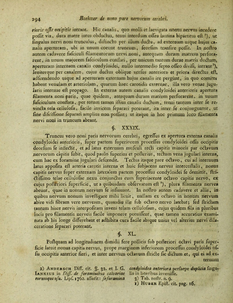 rioris ojjis occipitis intrant. Hic canalis, quo molli et laevigata nonus nervus incedere poffit via, dura matre intus obdudus, tenui interdum offea lamina bipartitus e(l 2), ut fingulus nervi noni trunculus , diffindo per illum dudu, ad externam usque hujus ca- nalis aperturam, ubi in unum coeunt truncum, feorfim tranfire polfit. In noftro autem cadavere fafciculi filamentorum nervi noni, antequam duram matrem perfora- rent, in unum majorem falci culum conflati, per unicum tantum durae matris dudum, aperturam internam canalis condyloidei, nullo intermedio 1'epto offeo divifi, intrant3), leniterque per canalem, cujus dudus oblique verius anteriora et priora diredus efi, adfcendendo usque ad aperturam externam hujus canalis ire pergunt, in quo comites habent venulam et arteriolam, quarum haec carotidis externae, illa vero venae jugu- laris internae eft propago. In externa autem canalis condyloidei anterioris apertura filamenta noni paris, quae quidem, antequam duram matrem perforarent, in unum fafciculum conflata, per totum tamen iflius canalis dudum, tenui tantum inter fe re- vinda tela cellulofa, facile invicem feparari poterant, ita inter fe conjunguntur, ut fine dilcifiione feparari amplius nonpoflint; ut itaque in hoc primum loco filamenta nervi noni in truncum abeant. §. XXXIX. Truncus vero noni paris nervorum cerebri, egrefTus ex apertura externa canalis condyloidei anterioris, fuper partem fuperiorem proceffus condyloidei ollis occipitis deorfum fe iniiedit, et ad latus externum mufculi redi capitis minoris par odavum nervorum capitis fubit, quod paulo fuperius et poflerius, tedum vena jugulari interna, cum hac ex foramine jugulari defeendit. Tedus itaque pare odavo, cui ad internum latus appofita eft arteria carotis interna et huic fubjacens nervus intcrcoflalis, nonus capitis nervus fuper externam lateralem partem procefifus condyloidei fe demittit, firi- diffimo telae cellulofae nexu conjundus cum fuperiacente odavo capitis nervo, ex cujus pofteriori fuperficie, ut a quibusdam obfervatum efl *), plura filamenta nervea abeunt, quae in nonum nervum fe inflnuant. In noftro autem cadavere et aliis, in quibus nervum nonum inveftigare mihi licuit, nullam ex odavo in nonum nervum abire vidi fibram vere nerveam, quamdiu ille lub odavo nervo latebat; fed flridam tantum hisce nervis interpofitam inveni telam cellulofam, cujus quidem fila in pluribus locis pro filamentis nerveis facile imponere potuilfeiit, quae tamen accuratius exami- nata ab his longe differebant et adhibita cura facile absque unius vel alterius nervi dila- ceratione feparari poterant. $. XL. Poftquam ad longitudinem dimidii fere pollicis fub pofteriori odavi paris fuper- ficie latuit nonus capitis nervus, prope marginem inferiorem proceffus condyloidei of- fis occipitis anterior fieri, et inter nervum odavum firide fic didum et, qui ei ad ex- ternum 2) Andersch Dift. cit. §. 32. et I. G. condyloidea anteriora perfaepe duplicia fingu- Ia nkius in Dijf de foraminibus calvariae lis in lateribus inveniffe. eorumque ufu. Lipf. 1762. alTerit: fe foramina 3) Tab. noftr. n. 9. 1) HusaK Epilh cit. pag. 16.