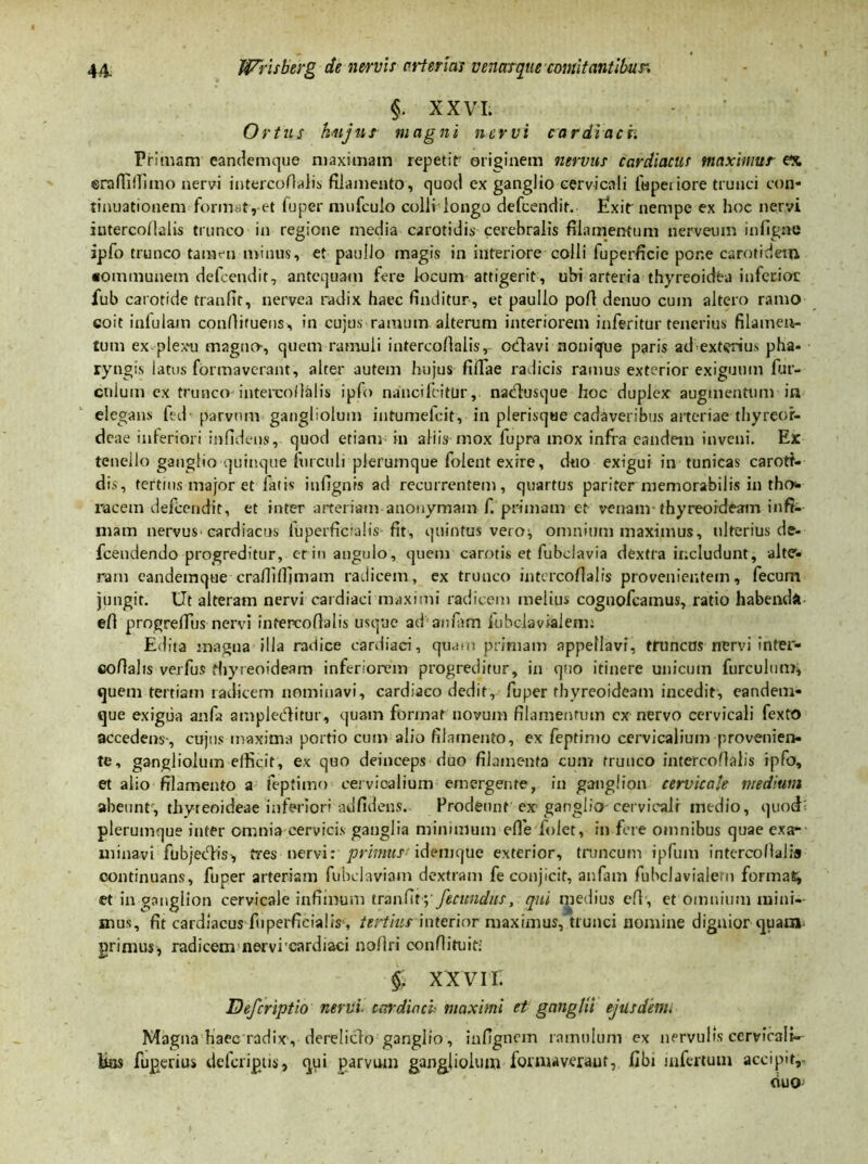 §. XXVI. Ortus hujus magni nervi cardiacis Primam candemque maximam repetit' originem nervus cardiacus maximus ex crafiiffimo nervi intercofialis filamento, quod ex ganglio cervicali fupenore trunci con- tinuationem format, et fuper mufculo colli longo defcendit. Exit'nempe ex hoc nervi intercofialis trunco in regione media carotidis cerebralis filamentum nerveum infignc ipfo trunco tamen minus, et paullo magis in interiore colli fuperficie por.e carotidem «ommunem defcendit, antequam fere locum attigerit, ubi arteria thyreoidea inferior fub carotide tranfit, nervea radix haec finditur, et paullo pofi denuo cuin altero ramo coit inlulatn confiifuens, in cujus ramum alterum interiorem inferitor tenerius filamen- tum ex plexu magno-, quem ramuli intercofialis, odavi nonique paris ad exterius pha- ryngis latus formaverant, alter autem hujus fifiae radicis ramus exterior exiguum fur- culum ex trunco intercofialis ipfo nancifiitur, nadusque hoc duplex augmentum in elegans fed parvum gangliolum intumefcit, in plerisque cadaveribus arteriae thyreor- dcae inferiori infidens, quod etiam in aliis mox fupra mox infra eandem inveni. Ex tenello ganglio quinque furculi plerumque folent exire, duo exigui in tunicas caroti- dis, tertms major et fatis iufignis ad recurrentem, quartus pariter memorabilis in tho- racem defcendit, et inter arteriam anonymam f. primam et venam thyreoideam infi- mam nervus-cardiacus Ibperfieralis-fit, quintus vero:, omnium maximus, ulterius de- fcendendo progreditur, er in angulo, quem carotis et fubclavia dextra includunt, alte- ram eandemque crafillfimam radicem, ex trunco intercofialis provenientem, fecum jungit. Ut alteram nervi cardiaci maximi radicem melius cognofcamus, ratio habenda efi progrefius nervi intercofialis usque ad'an fit m iubclavialem: Edita magna illa radice cardiaci, quam primam appellavi, truncus nervi inter- cofialis verfus thyreoideam inferiorem progreditur, in quo itinere unicum furculum, quem tertiam radicem nominavi, cardiaco dedit, fuper thyreoideam incedit, eandem- que exigua anfa amplecfiitur, quam format novum filamentum cx nervo cervicali fcxto accedens-, cujus maxima portio cum alio filamento, ex feptinio cervicalium provenien- te, gangliolum efficit, ex quo deinceps duo filamenta cum trunco intercofialis ipfo, et alio filamento a ieptimo cervicalium emergente, in ganglion cervicale medium abeunt, thyreoideae inferiori adfidens. Prodeunt ex ganglio cervicali medio, quod' plerumque inter omnia cervicis ganglia minimum effe folet, in fere omnibus quae exa- minavi fubjecfiis-, tres nervi: primus f idem que exterior, truncum ipfum intercofialis continuans, fuper arteriam fubclaviam dextram fe conjicit, anfam fubclavialem format, et in ganglion cervicale infimum tranfit ^fecundus, qui medius efi, et omnium mini- mus, fit cardiacus fuperficialis , tertius interior maximus, trunci nomine dignior quam primus, radicem nervi cardiaci nofiri confiituit- §. XXVII. Defcriptio nervi cardiaci maximi et ganglii ejus demi Magna haec radix, dereliclo ganglio, infignom ramulum ex nervulis cervicali- bus fuperius delcripus, qpi parvum gangliolum formaverant, fibi infertum accipit,- ouo