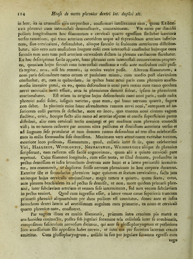 in hoc, ita in nonnullis aliis corporibus, confirmari intelleximus eam , quam KrtilGE- kus phrenici cum intercofiali demonflravit, connexionem. Vix enim per dimidii pollicis longitudinem hoc filamentum e cervicali quarto egreflum fledebat interiora verfiis ramulum , qui trans arteriam carotidem usque ad thyreoideam arteriam inferio- rem, fi ve-cervicalem, defcendebat, alioque furculo in fcalenum citeriorem diflribue- batur, alio vero ante mufcuiiun longum colli cura intercofiali confluebat hujusque cum furculis tum ante tura poft arteriam cervicalem didam in plexum cardiacum finiebatur. Ex hac defcriptione facile apparet, hanc phrenici cum intercofiali connexionem propter- ea-, quoniam hujus furculi cum intercofiali confluxus a vafis ante mufculum colli' pofi- tis tegitur, non, nifi his remotis, in oculos venire polle. Alterum filamentum, a noni paris defeendente ramo ortum et paululum minus, cum medio pofi claviculam confluebat, et, cum in quibusdam, in quibus hanc noni paris cum phrenico anaflo- mofin invenire potui, ex eo, quem defeendens is noni paris ramus cum ramo quodam nervi cervicalis tertii efficit, arcu in phrenicum demitti foleat, ipfum in phrenicum continuabatur. Efl etiam in origine hujus delcendentis rami noni paris, unde radix phrenici nafei folet, infignis varietas, quae eum, qui hunc nervum quaerit, fugere non debet. In plurimis enim hunc afeendentem ramum nervi noni,* antequam ad in- feriorem colli partem fe defledat, mox eo loco, quo truncus noni circum vagum fleditur, oriri, hocque fado alio ramo ad arteriae afperae et cordis fuperficiales partes diftribut, alio cum cervicali tertio conjungi et per medium cum phrenico connedi vidi i in eo tamen cadavere par nonum ultra pollicem et dimidium- anteriora verfus et ad- linguam fefe protulerat et tum demum ramus defeendens ad tres ifios celebratilfi- nios in collo formandos fefe demiferat. Maximam vero attentionem excitabat tertium, exteriore loco politum, filamentum, quod, collatis inter fe iis, quae celeberrimi Viri, Hallerus, Winseovius, NeubauerusWrisbergius aliique de phrenico fcripferunt, eam radicem efle facile cognovimus, quam alii a quinto cervicali pare repetunt.- Cujus filamenti longitudo, cum elTet tanta, ut illud demum, profundius ia pedus demifTum et infra bronchum dextrum ante hunc et a latere pericardii invenire- tur, nos commovit, ut duplicem fuilTe nervum phrenicum in hoc corpore ducamus. Exterior ille et fecundarius phrenicus injer quintum et textum cervicalem, fada jam ntriusque hujus cervicalis conjundione, magis tamen a quinto, quam fexto, ortus, ante plexum brachialem ita ad pedus fe demifit, ut non, more quidem primarii phre- nici, inter fubclavia-m arteriam et venam fefe intermitteret, fed ante venam fubclaviam in pedus veniret. Quod cum ingrefius eflet, a latere venae cavae fuperioris truncum primarii phrenicr aliquantulum per duos pollices efl comitatus, donec ante et infra bronchum dextri lateris ad aeutiflimum angulum cum primario, ex nono et cervicali quarto phrenico nato, conflueret. Par vagum illutn ex multis filamentis, primum infra cranium pia matre et arachnoidea conjundis, pofiea fub jugulari foramine tela cellulofa inter fe combinatis, compofitum fafcicnlum nervofum dicimus, qui ante fe gloflopharyngeum et pofieriore loco accefiferium fibi appofitos habet nervos, et inter eos per foramen lacerum cranio emittitur. Cum glolfopharyngeum , nullibi in fuo per jugulare foramen egreffii cum vago