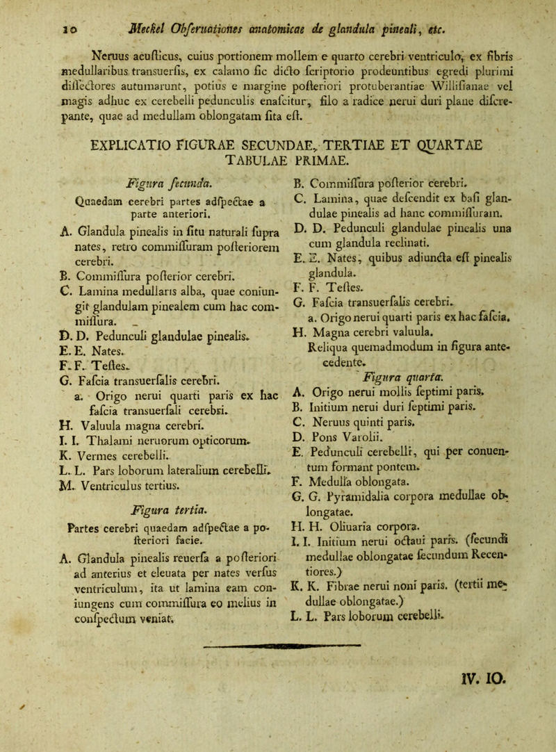 Ncruus acufiicus, cuius portionem- mollem e quarto cerebri ventriculo, ex fibris medullaribus transuerfis, ex calamo £ic dido fcriptorio prodeuntibus egredi plurimi difiedores autumarunt, potius e margine pofieriori protuberandae Willifianae vel magis adhuc ex cerebelli pedunculis enaicitur, filo a radice nerui duri plane difcre- pante, quae ad medullam oblongatam fita efi. EXPLICATIO FIGURAE SECUNDAE,. TERTIAE ET QUARTAE TABULAE PRIMAE. Figura fecunda. Quaedam cerebri partes adlpectae a parte anteriori. A. Glandula pinealis in fitu naturali fupra nates, retro commifiuram pofteriorem cerebri. B. Commiflura pofierior cerebri. C. Lamina medullaris alba, quae coniun- git glandulam pinealem cum hac com- miflura. D. D. Pedunculi glandulae pinealis» E. E. Nates. F. F. Tefies. G. Fafcia transuerfalis cerebri. a. Origo nerui quarti paris ex hac fafcia transuerfali cerebri. H. Valuula magna cerebri. I. I. Thalami neruorum opticorum» K. Vermes cerebelli. L. L. Pars loborum lateralium cerebelli» M. Ventriculus tertius. Figura tertia. Partes cerebri quaedam adfpedae a po- lteriori faeie. A. Glandula pinealis reuerfa a po Aeriori ad anterius et eleuata per nates verfus ventriculum, ita ut lamina eam con- iungens cum commififura eo melius in conlpedum veniat. B. Commifiara pofierior cerebri. C. Lamina, quae defcendit ex bafi glan- dulae pinealis ad hanc commifluram. D. D. Pedunculi glandulae pinealis una cum glandula reclinati. E. E. Nates, quibus adiunda efi pinealis glandula. F. F. Te Aes. G. Fafcia transuerfalis cerebri. a. Origo nerui quarti paris ex hac fafcia. H. Magna cerebri valuula. Reliqua quemadmodum in figura ante- cedente. Figura quarta. A. Origo nerui mollis feptimi paris. B. Initium nerui duri feptimi paris. C. Neruus quinti paris. D. Pons Varolii. E. Pedunculi cerebelli, qui per conuen- tum formant pontem. F. Medulla oblongata. G. G. Pyramidalia corpora medullae ok longatae. H. H. Oliuaria corpora. I. 1. Initium nerui odaui paris, (fecundi medullae oblongatae fecundum Recen- ti ores.} K. K. Fibrae nerui noni paris, (tertii dullae oblongatae.) L. L. Pars loborum cerebelli.