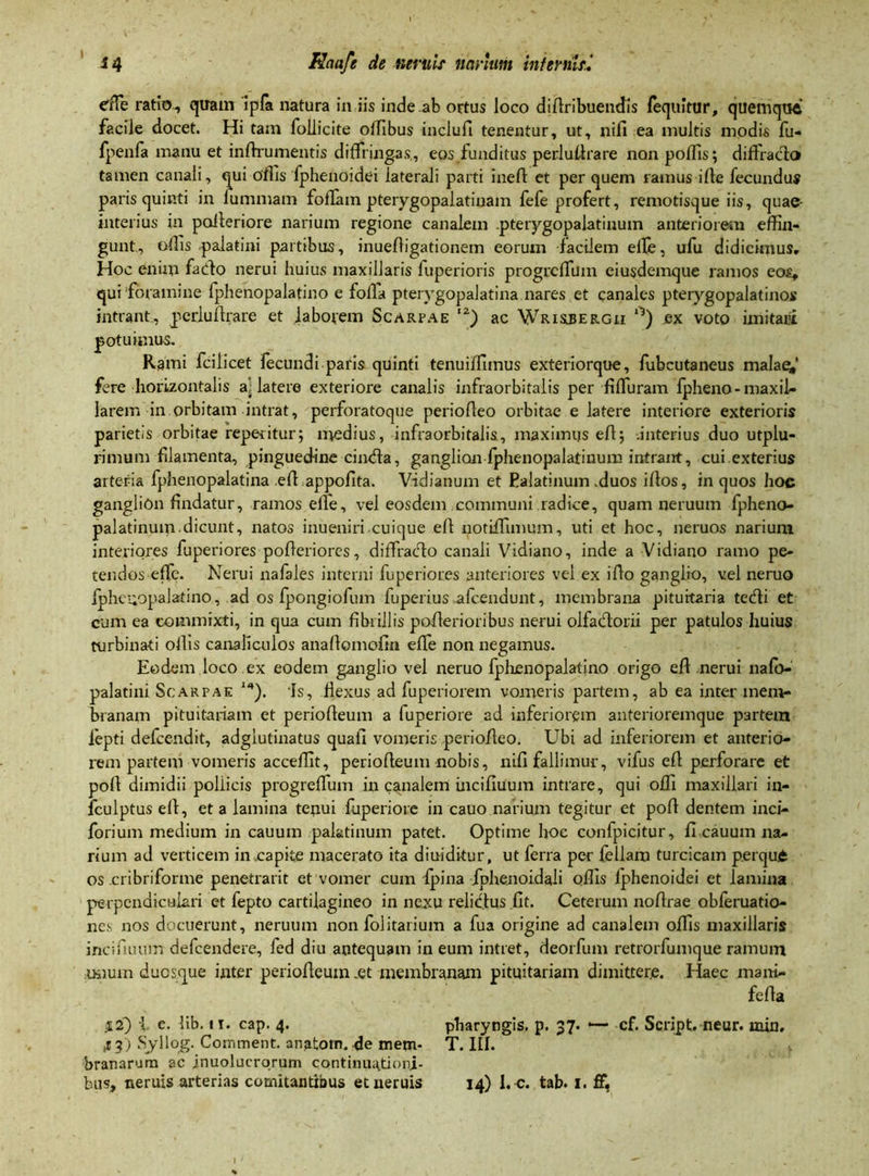 efTe ratio, quam ipfa natura in iis inde ab ortus loco didribuemJis fequitur, quemque' facile docet. Hi tam follicite offibus inclufi tenentur, ut, nifi ea multis modis fu- fpenfa manu et indrumentis diffringas., eos funditus perlutlrare non poliis; difFrado tamen canali, qui offis fphenoidei laterali parti ineft et per quem ramus ille fecundus paris quinti in lummam foliam pterygopalatinam fefe profert, remotisque iis, quae- interius in polleriore narium regione canalem pterygopalatinum anteriorem effin- gunt, offis palatini partibus, inueffigationem eorum facilem elle, ufu didicimus. Hoc enim fado nerui huius maxillaris fuperioris progrcffum eiusdemque ramos eos, qui foramine fphenopalatino e folia pterygopalatina nares et canales pterygopalatinos intrant, perludrare et laborem Scarfae IZ) ac Wrislbergu °) ex voto imitaet potuimus. Rgmi fcilicet fecundi paris quinti tenuiffiinus exteriorque, fubcutaneus malae^' fere horizontalis a; latere exteriore canalis infraorbitalis per fifTuram fpheno-maxil- larem in orbitam intrat, perforatoque periofleo orbitae e latere interiore exterioris parietis orbitae repetitur; medius, infraorbitalis, maximus ed; -.interius duo utplu- rimum flamenta, pinguedine cinda, ganglion fphenopalatinum intrant, cui exterius arteria fphenopalatina efl appofita. Vidianum et Palatinum .duos illos, in quos hoc ganglion findatur, ramos elle, vel eosdem communi radice, quam neruum fpheno- palatinum. dicunt, natos inueniri cuique ell notiffimum, uti et hoc, neruos narium interiores fuperiores poderiores, dilTrado canali Vidiano, inde a Vidiano ramo pe- tendos effe. Nerui nafales interni fuperiores anteriores vel ex illo ganglio, vel neruo fphenopalatino, ad os fpongiofum fuperius afcendunt, membrana pituitaria tedi et cum ea commixti, in qua cum fibrillis poderioribus nerui olfadorii per patulos huius turbinati ollis canaliculos anallomofin effe non negamus. Eodem loco ex eodem ganglio vel neruo fphenopalatino origo efl nerui nalb- palatini Scarpak “*). Is, fiexus ad fuperiorem vomeris partem, ab ea inter mem- branam pituitariam et periofleum a fuperiore ad inferiorem anferioremque partem lepti defeendit, adglutinatus quafi vomeris periodeo. Ubi ad inferiorem et anterio- rem partem vomeris acceffit, periofleum nobis, nifi fallimur, vifus efl perforare et poli dimidii poliicis progrefifum in canalem inciduum intrare, qui offi maxillari in- fculptus ell, et a lamina tepui fuperiore in cauo narium tegitur et pod dentem inci- forium medium in cauuin palatinum patet. Optime hoc confpicitur, fi cauum na- rium ad verticem in .capite macerato ita diuiditur, ut ferra per feliam turcicam p.erquji os cribriforme penetrarit et vomer cum fpina iphenoidali offis lphenoidei et lamina perpendiculari et fepto cartilagineo in nexu relidus dt. Ceterum nodrae obferuatio- nes nos docuerunt, neruum nonfolitatium a fua origine ad canalem offis maxillaris incifiuum defeendere, fed diu antequam in eum intret, deorfum retrorfumque ramum .unum duesque inter periodeum „et membranam pituitariam dimittere. Haec mani- feda .52) i c. lib. 11, cap. 4. pharyngis, p. 37. — cf. Script. neur. min, 43) Syllog. Comment. anatom.-de mem- T. III. branarum ac inuolucrorum continuationi-