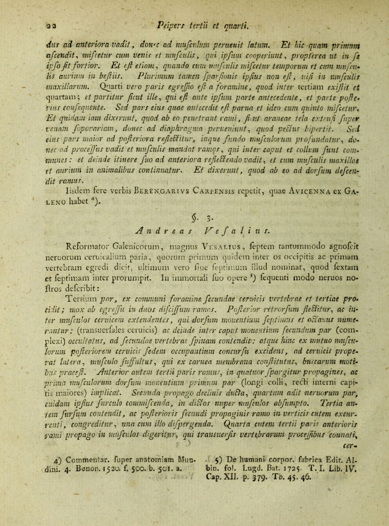 diu ad anteriora vadit, don<c ad mufciilum peruenit fatum. Et hic quam primum afcendit, mifcetur cum venii et muf u lis, qui ipfum cooperiunt, propter ea ut in fg ipfo fi fortior. Et efl etiam, quando cum mufiulis mifcetur temporum et cum mufr- ii s aurium in befliis. Plurimum tamen fparfionis ipfius non efl, vi/i iu mu/.'culis maxillarum. Quarti vero paris egrejjio efl a foramine, quod inter tertiam exi/Ut et quartam; et partitur ficut ille, qui efi ante ipfum parte antecedente, et parte po fe- rius ccnfequente. Sed pars eius quae antecedit rjl parua et ideo cum quinto mifcetur. Et quidam icmi dixerunt, quod ab eo penetrant rami, fu ut araneae tela extenfi fuper venam Jbporariam, donec ad diaphragma perveniunt, quod pedtus bipertit. Sed eius pars maior ad poferiora refsiditur, in que fundo mfculorum profundatur, do- nec nd procefus vadit et nnf adis mandat ramos, qui inter caput et collum funt com- mines: et deinde itinere fuo ad anteriora refedendo vadit, et cum nnf culis maxillae et aurium in animalibus continuatur. Et dixerunt, quod ab eo ad dorfum clefcen- dit ramus. Iisdem fere verbis Reren.garivs Carpensis repetit, quae Avicenna ex Ga- leno habet 4), §. 3- A 11 d r e a s V e f a l i u s. Reformator Galenicorum, magnus Vesalius, leptem tantummodo agnofeit neruorum eeruitalium paria, quorum primum quidem inter os occipitis ac primam vertebram egredi dicit, ultimum vero flue feptimum illud nominat, quod lextam et feptimam inter prorumpit. In immortali luo opere 5) fequenti modo neruos no- flros deferibit: Tertium par, ex communi foramine fecundae cernuis vertebrae et tertiae pro- cidit ; mox ab egreflu in duos difeifum ramos. Poferlor ritrorfum f editur, ac in- ter mufculos cervicem extendentes, qui dorfum monentium feptimus et odamis nume- rantur: (transuerfales ceruicis) ac deinde inter caput monentium fecundum par (com- plexi) occultatus, ad fecundae vertebrae /pinam contendit: atque hinc ex mutuo nnf cu- lorum poferiorem ceruicis fedem occupantium concurfu excidens, ad ceruicis prope- rat latera, muf culo fnffnltus, qui ex carnea membrana confitutus, buccarum moti- bus praeejf. Anterior autem tertii paris ramus, in quatitor /porgitur propagines, ac prima mufculorum dorfum monentium primum par (longi colli, recli interni capi- tis maiores) implicat. Secunda propago declinis duda, quartum adit neruorum par, cuidam ipfus fur culo commfcenda, in didos nuper nnf illos abfumpto. Tertia au- tem firfum contendit, ac poferioris fecundi propaginis ramo in verticis cutem excur- renti, congreditur, una cum illo dfpergenda, (fuarta cutem tertii paris anterioris rami propago in muf vlos digerit.ur, qui transuerfs vertebrarum protejfbus connati, cer- 4) Commentar, fuper anatomiam Mim- ■ 5) De humani corpor. fabrica Edit. AI- dini. 4. Benor. 1520, f. 500. b. 501. a. bin. fo!. Lugd. Bat. 1725. T. I. Lib. 17. Cap. XII. p. 379. Tb. 45. 46.