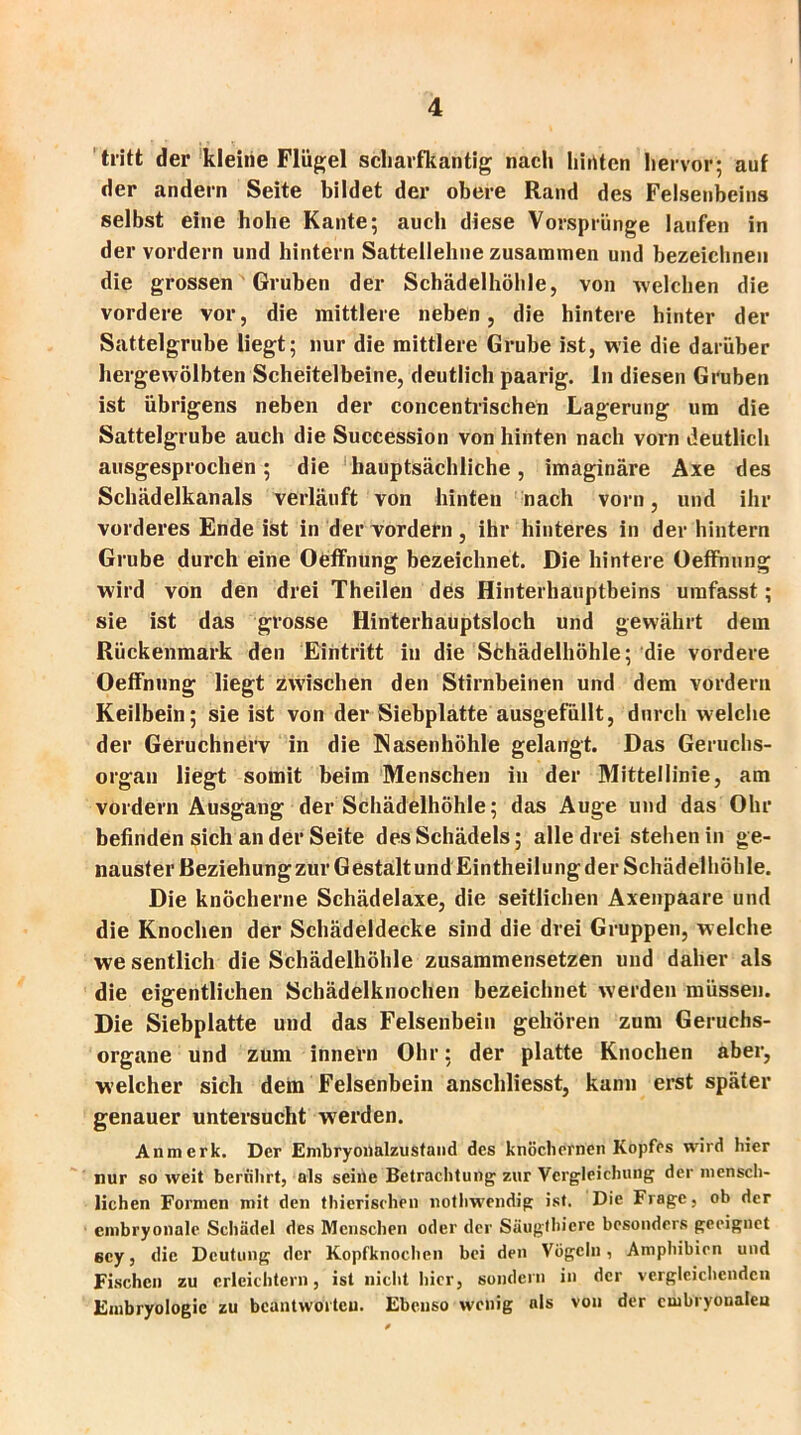 tritt der kleine Flügel scharfkantig nach hinten hervor; auf der andern Seite bildet der obere Rand des Felsenbeins selbst eine hohe Kante; auch diese Vorsprünge laufen in der vordem und hintern Sattellehne zusammen und bezeichnen die grossen Gruben der Schädelhöhle, von welchen die vordere vor, die mittlere neben, die hintere hinter der Sattelgrube liegt; nur die mittlere Grube ist, wie die darüber hergewölbten Scheitelbeine, deutlich paarig, ln diesen Gruben ist übrigens neben der concentrischen Lagerung um die Sattelgrube auch die Succession von hinten nach vorn deutlich ausgesprochen; die hauptsächliche, imaginäre Axe des Schädelkanals verläuft von hinten nach vorn, und ihr vorderes Ende ist in der vordem, ihr hinteres in der hintern Grube durch eine Oeffnung bezeichnet. Die hintere Oeffnung wird von den drei Theilen des Hinterhauptbeins umfasst; sie ist das grosse Hinterhauptsloch und gewährt dem Rückenmark den Eintritt in die Schädelhöhle; die vordere Oeffnung liegt zwischen den Stirnbeinen und dem vordem Keilbein; sie ist von der Siebplatte ausgefüllt, durch welche der Geruchnerv in die Nasenhöhle gelangt. Das Geruclis- organ liegt somit beim Menschen in der Mittellinie, am vordem Ausgang der Schädelhöhle; das Auge und das Ohr befinden sich an der Seite des Schädels; alle drei stehen in ge- nauster Beziehung zur Gestalt und Eäntheilungder Schädelhöhle. Die knöcherne Schädelaxe, die seitlichen Axenpaare und die Knochen der Schädeldecke sind die drei Gruppen, welche we sentlich die Schädelhöhle zusammensetzen und daher als die eigentlichen Schädelknochen bezeichnet werden müssen. Die Siebplatte und das Felsenbein gehören zum Geruchs- organe und zum innern Ohr; der platte Knochen aber, welcher sich dem Felsenbein anschliesst, kann erst später genauer untersucht werden. Anmerk. Der Embryonalzustand des knöchernen Kopfes wird hier nur so weit berührt, als seine Betrachtung zur Vergleichung der mensch- lichen Formen mit den thierischen nothwendig ist. Die Frage, ob der embryonale Schädel des Menschen oder der Säugtbiere besonders geeignet scy, die Deutung der Kopfknochen hei den Vögeln, Amphibien und Fischen zu erleichtern, ist nicht hier, sondern in der vergleichenden Embryologie zu beantworten. Ebenso wenig als von der embryonalen