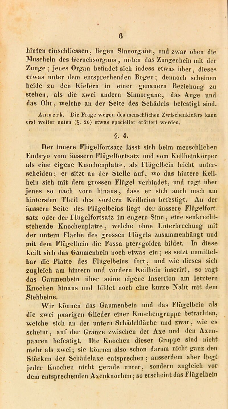 c hinten einschliessen, liegen Sinnorgane, und zwar oben die Muscheln des Geruchsorgans, unten das Zungenbein mit der Zunge; jenes Organ befindet sich indess etwas über, dieses etwas unter dem entsprechenden Bogen; dennoch scheinen beide zu den Kiefern in einer genauem Beziehung zu stehen, als die zwei andern Sinnorgane, das Auge und das Ohr, welche an der Seite des Schädels befestigt sind. An merk. Die Frage wegen des menschlichen Zwischenkiefers kann erst weiter unten (§. 20) etwas specieller erörtert werden. §. 4. Der innere Flügelfortsatz lässt sich beim menschlichen Embryo vom äussern Flügelfortsatz und vom Keilbeinkörper als eine eigene Knochenplatte, als Flügelbein leicht unter- scheiden; er sitzt an der Stelle auf, wo das hintere Keil- bein sich mit dem grossen Flügel verbindet, und ragt über jenes so nach vorn hinaus, dass er sich auch noch am hintersten Theil des vordem Keilbeins befestigt. An der äussern Seite des Flügelbeins liegt der äussere Flügelfort- satz oder der Flügelfortsatz im engern Sinn, eine senkrecht- stehende Knochenplatte, welche ohne Unterbrechung mit der untern Fläche des grossen Flügels zusammenhängt und mit dem Flügelbein die Fossa pterygoidea bildet. In diese keilt sich das Gaumenbein noch etwas ein; es setzt unmittel- bar die Platte des Flügelbeins fort, und wie dieses sich zugleich am hintern und vordem Keilbein inserirt, so ragt das Gaumenbein über seine eigene Insertion am letztem Knochen hinaus und bildet noch eine kurze Naht mit dem Siebbeine. Wir können das Gaumenbein und das Flügelbein als die zwei paarigen Glieder einer Knochengruppe betrachten, welche sich an der untern Schädelfläche und zwar, wie es scheint, auf der Gränze zwischen der Axe und den Axen- paaren befestigt. Die Knochen dieser Gruppe sind nicht mehr als zwei; sie. können also schon darum nicht ganz den Stücken der Schädelaxe entsprechen ; ausserdem aber liegt jeder Knochen nicht gerade unter, sondern zugleich vor dem entsprechenden Axenknochen; so erscheint das Flügelbein