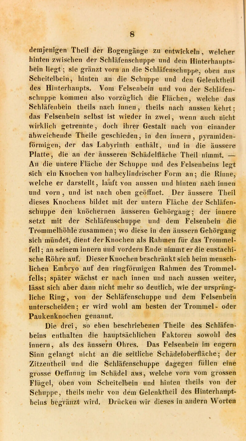 demjenigen Theil der Bogengänge zu entwickeln , welcher hinten zwischen der Schläfenschuppe und dein Hinterhaupts- bein liegt; sie gränzt vorn an die Schläfenschuppe, oben ans Scheitelbein, hinten an die Schuppe und den Gelenktheil des Hinterhaupts. Vom Felsenbein und von der Schläfen- sclmppe kommen also vorzüglich die Flächen, welche das Schläfenbein theils nach innen, theils nach aussen kehrt; das Felsenbein selbst ist wieder in zwei, wenn auch nicht wirklich getrennte, doch ihrer Gestalt nach von einander abweichende Theile geschieden, in den innern , pyramiden- förmigen, der das Labyrinth enthält, und in die äussere Platte, die an der äusseren Schädelfläche Theil nimmt. — An die untere Fläche der Schuppe und des Felsenbeins legt sich ein Knochen von halbcylindrischer Form an; die Rinne, welche er darstellt, lauft von aussen und hinten nach innen und vorn , und ist nach oben geöffnet. Der äussere Theil dieses Knochens bildet mit der untern Fläche der Schläfen- schuppe den knöchernen äusseren Gehörgang; der innere setzt mit der Schläfenschuppe und dem Felsenbein die Trommelhöhle zusammen; wo diese in den äussern Gehörgang sich mündet, dient der Knochen als Rahmen für das Trommel- fell; an seinem innern und vordem Ende nimmt er die eustachi- sche Röhre auf. Dieser Knochen beschränkt sich beim mensch- lichen Embryo auf den ringförmigen Rahmen des Trommel- fells; später wächst er nach innen und nach aussen weiter, lässt sich aber dann nicht mehr so deutlich, wie der ursprüng- liche Ring, von der Schläfenschuppe und dem Felsenbein unterscheiden; er wird wohl am besten der Trommel- oder Paukenknochen genannt. Die drei, so eben beschriebenen Theile des Schläfen- beins enthalten die hauptsächlichen Faktoren sowohl des innern, als des äussern Öhres. Das Felsenbein im engern Sinn gelangt nicht an die seitliche Schädeloberfläche; der Zitzentheil und die Schläfenschuppe dagegen füllen eine grosse Oeffnung im Schädel aus, welche vorn vom grossen Flügel, oben vom Scheitelbein und hinten theils von der Schuppe, theils mehr von dem Gelenktheil des Hinterhaupt- beins bcgränzt wird. Drücken wir dieses in andern Worten
