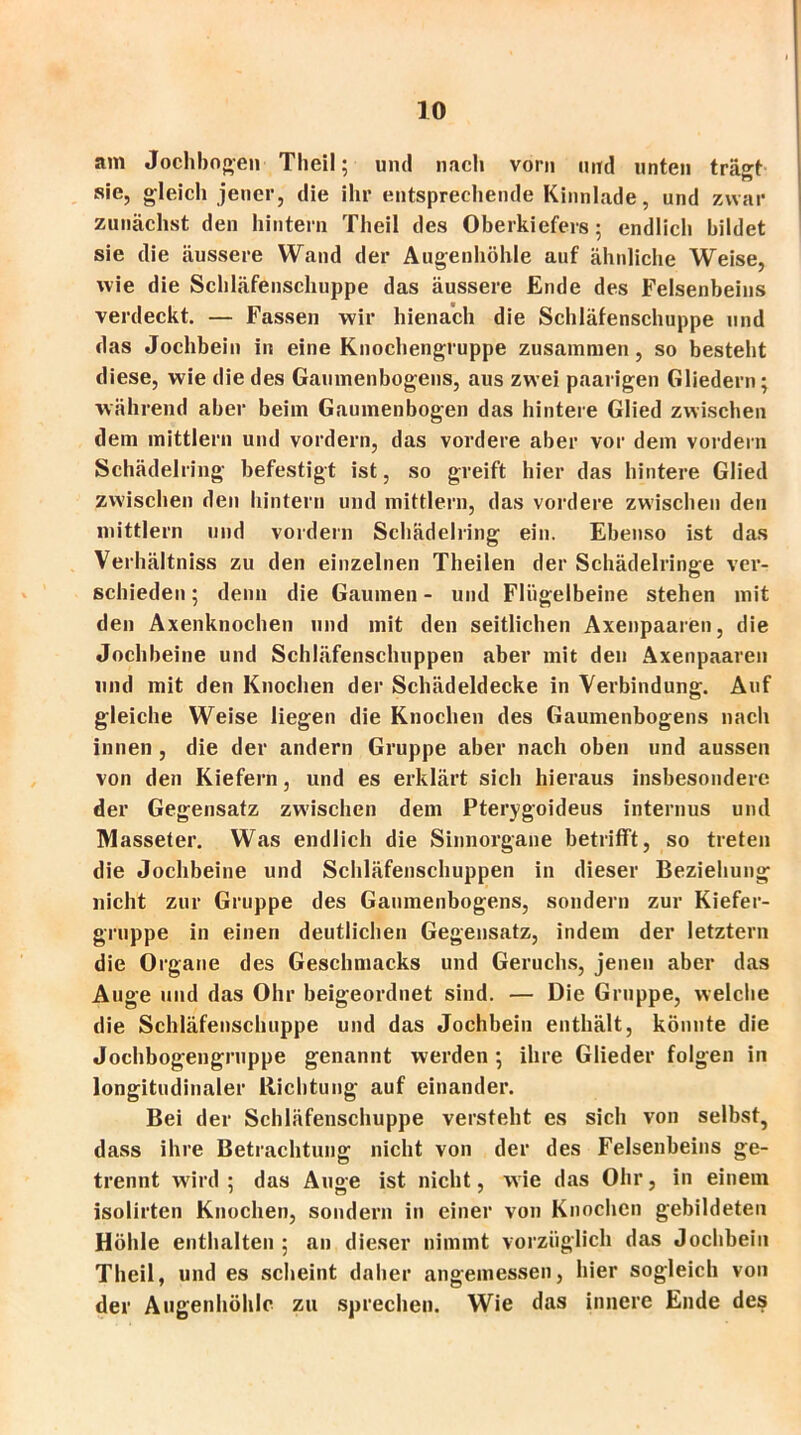 am Jochbogen Theil; und nach vorn und unten trägt sie, gleich jener, die ihr entsprechende Kinnlade, und zwar zunächst den hintern Theil des Oberkiefers; endlich bildet sie die äussere Wand der Augenhöhle auf ähnliche Weise, wie die Schläfenschuppe das äussere Ende des Felsenbeins verdeckt. — Fassen wir hienach die Schläfenschuppe und das Jochbein in eine Knochengruppe zusammen, so besteht diese, wie die des Gaumenbogens, aus zwei paarigen Gliedern; während aber beim Gaumenbogen das hintere Glied zwischen dem mittlern und vordem, das vordere aber vor dem vordem Schädelring befestigt ist, so greift hier das hintere Glied zwischen den hintern und mittlern, das vordere zwischen den mittlern und vordem Schädelring ein. Ebenso ist das Verhältniss zu den einzelnen Theilen der Schädelringe ver- schieden ; denn die Gaumen - und Flügelbeine stehen mit den Axenknochen und mit den seitlichen Axenpaaren, die Jochbeine und Schläfenschuppen aber mit den Axenpaaren und mit den Knochen der Schädeldecke in Verbindung. Auf gleiche Weise liegen die Knochen des Gaumenbogens nach innen , die der andern Gruppe aber nach oben und aussen von den Kiefern, und es erklärt sich hieraus insbesondere der Gegensatz zwischen dem Pterygoideus internus und Masseter. Was endlich die Sinnorgane betrifft, so treten die Jochbeine und Schläfenschuppen in dieser Beziehung nicht zur Gruppe des Gaumenbogens, sondern zur Kiefer- gruppe in einen deutlichen Gegensatz, indem der letztem die Organe des Geschmacks und Geruchs, jenen aber das Auge und das Ohr beigeordnet sind. — Die Gruppe, welche die Schläfenschuppe und das Jochbein enthält, könnte die Jochbogengruppe genannt werden ; ihre Glieder folgen in longitudinaler Richtung auf einander. Bei der Schläfenschuppe versteht es sich von selbst, dass ihre Betrachtung nicht von der des Felsenbeins ge- trennt wird ; das Auge ist nicht, wie das Ohr, in einem isolirten Knochen, sondern in einer von Knochen gebildeten Höhle enthalten ; an dieser nimmt vorzüglich das Jochbein Theil, und es scheint daher angemessen, hier sogleich von der Augenhöhle zu sprechen. Wie das innere Ende des