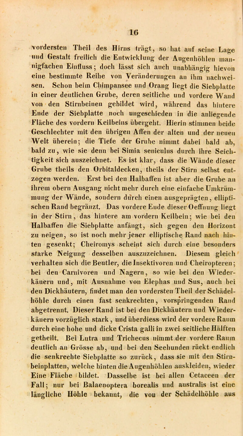 IG vordersten Tlieil des Hirns trägt, so hat auf seine Lage und Gestalt freilich die Entwicklung der Augenhöhlen man- nigfachen Einfluss; doch lässt sich auch unabhängig hievon eine bestimmte Reihe von Veränderungen an ihm nachwei- sen. Schon beim Chimpansee und Orang liegt die Siebplatte in einer deutlichen Grube, deren seitliche und vordere Wand von den Stirnbeinen gebildet wird, während das hintere Ende der Siebplatte noch ungeschieden in die anliegende Fläche des vordem Reilbeins übergeht. Hierin stimmen beide Geschlechter mit den übrigen Affen der alten und der neuen Welt überein; die Tiefe der Grube nimmt dabei bald ab, bald zu, wie sie denn bei Simia seniculus durch ihre Seich- tigkeit sich auszeichnet. Es ist klar, dass die Wände dieser Grube theils den Orbitaldecken, theils der Stirn selbst ent- zogen werden. Erst bei den Halbaffen ist aber die Grube an ihrem obern Ausgang nicht mehr durch eine einfache Umkrüm- mung der Wände, sondern durch einen ausgeprägten, ellipti- schen Rand begränzt. Das vordere Ende dieser Oeffnung liegt in der Stirn, das hintere am vordem Keilbein; wie bei den Halbaffen die Siebplatte anfängt, sich gegen den Horizont zu neigen, so ist noch mehr jener elliptische Rand nach hin- ten gesenkt; Cheiromys scheint sich durch eine besonders starke Neigung desselben auszuzeichnen. Diesem gleich verhalten sich die Beutler, die Insektivoren und Cheiropteren; bei den Carnivoren und Nagern, so wie bei den Wieder- käuern und, mit Ausnahme von Elephas und Sus, auch bei den Dickhäutern, findet man den vordersten Theil der Schädel- höhle durch einen fast senkrechten, vorspringenden Rand abgetrennt. Dieser Rand ist bei den Dickhäutern und Wieder- käuern vorzüglich stark, und überdiess wird der vordere Raum durch eine hohe und dicke Crista galliin zwei seitliche Hälften getheilt. Bei Lutra und Trichecus nimmt der vordere Raum deutlich an Grösse ab, und bei den Seehunden rückt endlich die senkrechte Siebplatte so zurück, dass sie mit den Stirn- beinplatten, welche hinten die Augenhöhlen auskleiden, wieder Eine Fläche bildet. Dasselbe ist bei allen Cetaceen der Fall; nur bei Balaenoptera borealis und australis ist eine längliche Höhle bekannt, die von der Schädelhöhle aus