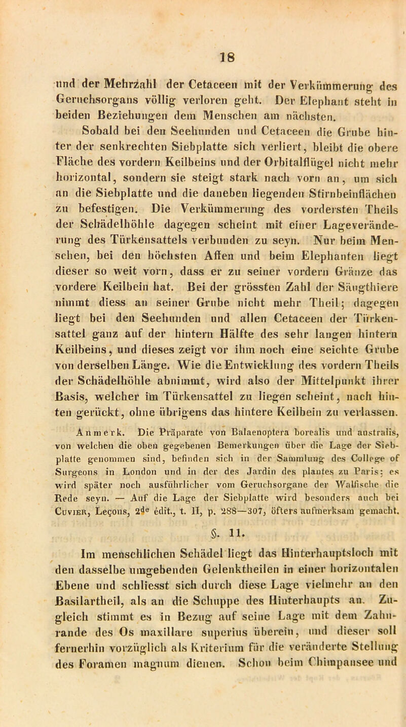 und der Mehrzahl der Cetaceen mit der Verkiimmeruhg des Geruchsorgans völlig verloren geht. Der Elephant steht in beiden Beziehungen dem Menschen am nächsten. Sobald bei den Seehunden und Cetaceen die Grube hin- ter der senkrechten Siebplatte sich verliert, bleibt die obere Fläche des vordem Keilbeins und der Orbitalflügel nicht mehr horizontal, sondern sie steigt stark nach vorn an, um sich an die Siebplatte und die daneben liegenden Stirnbeinflächen zu befestigen. Die Verkümmerung des vordersten Theils der Schädelböhle dagegen scheint mit einer Lageverände- rung des Türkensattels verbunden zu seyn. Nur beim Men- schen, bei den höchsten Affen und beim Elephanten liegt dieser so weit vorn, dass er zu seiner vordem Gränze das vordere Keilbein hat. Bei der grössten Zahl der Säugthiere nimmt diess an seiner Grube nicht mehr Theil; dagegen liegt bei den Seehunden und allen Cetaceen der Türken- sattel ganz auf der hintern Hälfte des sehr langen hintern Keilbeins, und dieses zeigt vor ihm noch eine seichte Grube von derselben Länge. Wie die Entwicklung des vordem Theils der Schädelhöhle abniinmt, wird also der Mittelpunkt ihrer Basis, welcher im Türkensattel zu liegen scheint, nach hin- ten gerückt, ohne übrigens das hintere Keilbein zu verlassen. An merk. Die Präparate von Balaenoptera borealis und australis, von welchen die oben gegebenen Bemerkungen über die Lage der Sieb- platte genommen sind, befinden sich in der Sammlung des College of Surgeons in London und in der des Jardin des plantes zu Paris: es wird später noch ausführlicher vom Geruchsorgane der Walfische die Rede seyn. — Auf die Lage der Siebplatte wird besonders auch bei Cuvjer, Legons, edit., t. II, p. 288—307, öfters aufmerksam gemacht. §. 11. Im menschlichen Schädel liegt das Hinterhauptsloch mit den dasselbe umgebenden Gelenktheilen in einer horizontalen Ebene und schliesst sich durch diese Lage vielmehr an den ßasilartheil, als an die Schuppe des Hinterhaupts an. Zu- gleich stimmt es in Bezug auf seine Lage mit dem Zahu- rande des Os maxillare superius überein, und dieser soll fernerhin vorzüglich als Kriterium für die veränderte Stellung des Foramen magnum dienen. Schon beim (’hiinpausee und