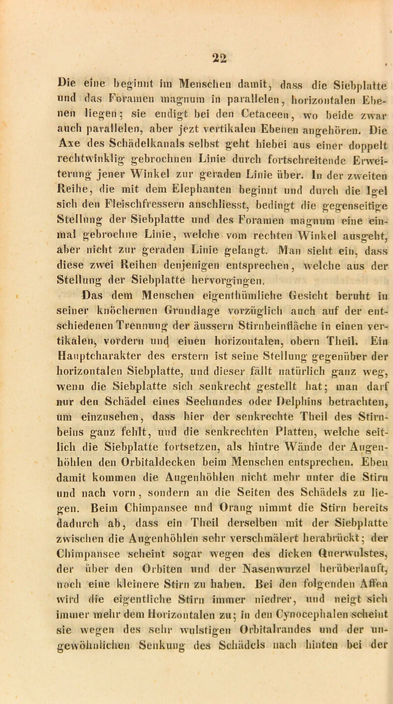 Die eine beginnt im Menschen damit, dass die Siebplatte und das Foramen inagnum in parallelen, horizontalen Ebe- nen liegen; sie endigt bei den Cetaceen, wo beide zwar auch parallelen, aber jezt vertikalen Ebenen angehören. Die Axe des Schädelkanals selbst geht hiebei aus einer doppelt rechtwinklig gebrochnen Linie durch fortschreitende Erwei- terung jener Winkel zur geraden Linie über. In der zweiten Reibe, die mit dem Elephanten beginnt und durch die Igel sich den Fleischfressern anschliesst, bedingt die gegenseitige Stellung der Siebplatte und des Foramen magnum eine ein- mal gebrocbne Linie, welche vom rechten Winkel ausgeht, aber nicht zur geraden Linie gelangt. Man siebt ein, dass diese zwei Reiben denjenigen entsprechen, welche aus der Stellung der Siebplatte hervorgingen. Das dem Menschen eigenthiimliche Gesiebt beruht in seiner knöchernen Grundlage vorzüglich auch auf der ent- schiedenen Trennung der äussern Stirnbein flache in einen ver- tikalem, vordem untj einen horizontalen, obern Theil. Ein Hauptcharakter des erstem ist seine Stellung gegenüber der horizontalen Siebplatte, und dieser fällt natürlich ganz weg, wenn die Siebplatte sich senkrecht gestellt bat; man darf nur den Schädel eines Seehundes oder Delphins betrachten, um einzusehen, dass hier der senkrechte Theil des Stirn- beins ganz fehlt, und die senkrechten Platten, welche seit- lich die Siebplatte fortsetzen, als hintre Wände der Augen- höhlen den Orbitaldecken beim Menschen entsprechen. Eben damit kommen die Augenhöhlen nicht mehr unter die Stirn und nach vom , sondern an die Seiten des Schädels zu lie- gen. Beim Chimpansee und Orang nimmt die Stirn bereits dadurch ab, dass ein Theil derselben mit der Siebplatte zwischen die Augenhöhlen sehr verschmälert herabrückt; der Chimpansee scheint sogar wegen des dicken Querwulstes, der über den Orbiten und der Nasenwurzel herüberlauft, noch eine kleinere Stirn zu haben. Bei den folgenden Affen wird die eigentliche Stirn immer niedrer, und neigt sich immer mehr dem Horizontalen zu; in den Cynocepiialen scheint sie wegen des sehr wulstigen Orbitalrandes und der un- gewöhnlichen Senkung des Schädels nach hinten bei der