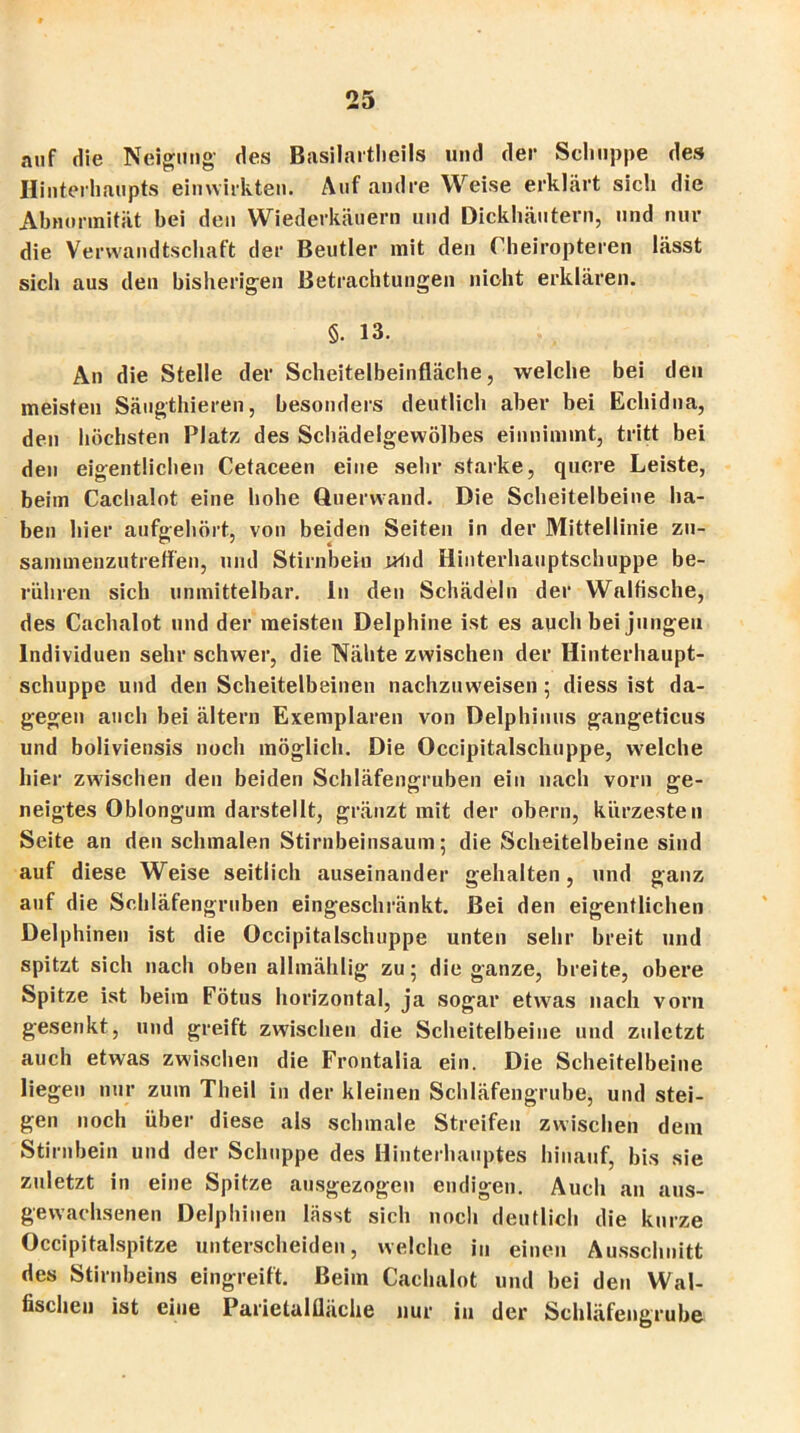 auf die Neigung- des Basilartheils und der Schuppe des Hinterhaupts einwirkten. Auf andre Weise erklärt sich die Abnormität bei den Wiederkäuern und Dickhäutern, und nur die Verwandtschaft der Beutler mit den Oheiropteren lässt sich aus den bisherigen Betrachtungen nicht erklären. 5. 13. An die Stelle der Scheitelbeinfläche, welche bei den meisten Säugthieren, besonders deutlich aber bei Echidna, den höchsten Platz des Schädelgewölbes einnimmt, tritt bei den eigentlichen Cetaceen eine sehr starke, quere Leiste, beiin Cachalot eine hohe Querwand. Die Scheitelbeine ha- ben hier aufgehört, von beiden Seiten in der Ölittellinie zu- sammenzutreflen, und Stirnbein «lid Hinterhauptschuppe be- rühren sich unmittelbar. In den Schädeln der Walfische, des Cachalot und der meisten Delphine ist es auch bei jungen Individuen sehr schwer, die Nähte zwischen der Hinterhaupt- schuppe und den Scheitelbeinen nachzuweisen; diess ist da- gegen auch bei altern Exemplaren von Delphinus gangeticus und boliviensis noch möglich. Die Occipitalschuppe, welche hier zwischen den beiden Schläfengruben ein nach vorn ge- neigtes Oblongum darstellt, gränzt mit der obern, kürzesten Seite an den schmalen Stirnbeinsaum; die Scheitelbeine sind auf diese Weise seitlich auseinander gehalten, und ganz auf die Schläfengruben eingeschränkt. Bei den eigentlichen Delphinen ist die Occipitalschuppe unten sehr breit und spitzt sich nach oben allmählig zu; die ganze, breite, obere Spitze ist beim Fötus horizontal, ja sogar etwas nach vorn gesenkt, und greift zwischen die Scheitelbeine und zuletzt auch etwas zwischen die Frontalia ein. Die Scheitelbeine liegen nur zum Theil in der kleinen Schläfengrube, und stei- gen noch über diese als schmale Streifen zwischen dem Stirnbein und der Schuppe des Hinterhauptes hinauf, bis sie zuletzt in eine Spitze ausgezogen endigen. Auch au aus- gewachsenen Delphinen lässt sich noch deutlich die kurze Occipitalspitze unterscheiden, welche in einen Ausschnitt des Stirnbeins eingreift. Beim Cachalot und hei den Wal- fischen ist eine Parictalflüche nur in der Schläfengrube