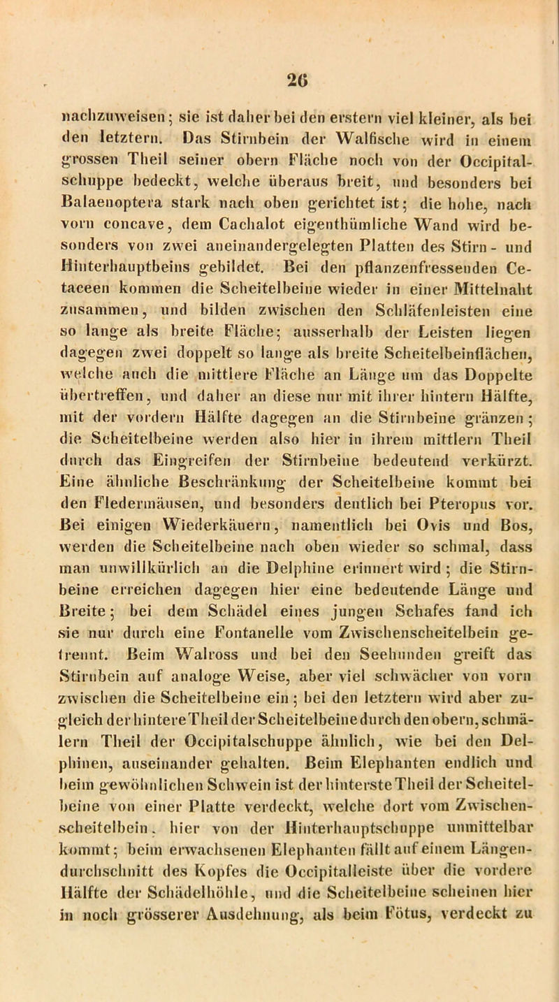 20 nachzuweisen; sie ist daher bei den erstem viel kleiner, als bei den letztem. Das Stirnbein der Walfische wird in einem »rossen Theil seiner obern Fläche noch von der Oceipital- schuppe bedeckt, welche überaus breit, und besonders bei Balaenoptera stark nach oben gerichtet ist; die hohe, nach vom concave, dem Cachalot eigenthümliche Wand wird be- sonders von zwei aneinandergelegten Platten des Stirn- und Hinterhauptbeins gebildet. Bei den pflanzenfressenden Ce- taceen kommen die Scheitelbeine wieder in einer Mittelnaht zusammen, und bilden zwischen den Schläfenleisten eine so lange als breite Fläche; ausserhalb der Leisten liegen dagegen zwei doppelt so lange als breite Scheitelbeinflächen, welche auch die mittlere Fläche an Länge um das Doppelte übertreffen, und daher an diese nur mit ihrer hintern Hälfte, mit der vordem Hälfte dagegen an die Stirnbeine gränzen ; die Scheitelbeine werden also hier in ihrem mittlern Theil durch das Eingreifen der Stirnbeine bedeutend verkürzt. Eine ähnliche Beschränkung: der Scheitelbeine kommt bei den Fledermäusen, und besonders deutlich bei Pteropus vor. Bei einigen Wiederkäuern, namentlich bei Ovis und Bos, werden die Scheitelbeine nach oben wieder so schmal, dass man unwillkürlich an die Delphine erinnert wird ; die Stirn- beine erreichen dagegen hier eine bedeutende Länge und Breite; bei dem Schädel eines jungen Schafes fand ich sie nur durch eine Fontanelle vom Zwischenscheitelbein ge- trennt. Beim Walross und bei den Seehunden greift das Stirnbein auf analoge Weise, aber viel schwächer von vorn zwischen die Scheitelbeine ein; bei den letztem wird aber zu- gleich der hintereTheil der Scheitelbeine durch den obern, schmä- lern Theil der Occipitalschuppe ähnlich, wie bei den Del- phinen, auseinander gehalten. Beim Elephanten endlich und beim gewöhnlichen Schwein ist der hinterste Theil der Scheitel- beine von einer Platte verdeckt, welche dort vom Zwischen- scheitelbein. hier von der Hinterhauptschuppe unmittelbar kommt; beim erwachsenen Elephanten fällt auf einem Längen- durchschnitt des Kopfes die Occipitalleiste über die vordere Hälfte der Schädelhöhle, und die Scheitelbeine scheinen hier in noch grösserer Ausdehnung, als beim Fötus, verdeckt zu