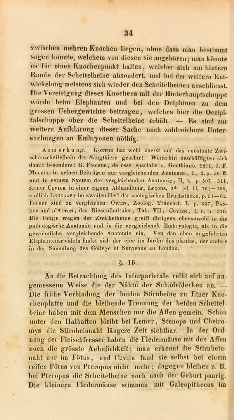 zwischen mehren Knochen liegen, ohne dass man bestimmt sagen könnte, welchem von diesen sie angehören; man könnte es fiir einen Knocherißunkt halten, welcher sich am hintern Rande der Scheitelbeine absondert, und bei der weitern Ent- wickelung meistens sich wieder den Scheitelbeinen anschliesst. Die Vereinigung dieses Knochens mit der Hinterhauptschuppe würde beim ElepHänten und bei den Delphinen zu dem grossen Uebergewichte beitragen, welches hier die Occipi- talschuppe über die Scheitelbeine erhält. — Es sind zur weitern Aufklärung dieser Sache noch zahlreichere Unter- suchungen an Embryonen nötliig. Anmerkung. Goethe hat wohl zuerst auf das constanfe Zwi- schenscheitelbein der Säugthiere geachtet. Weiterhin beschäftigten sich damit besonders: G. Fischer, de osse epactalis s. Goethiano. 1811, I. F. Meckel in seinen Beiträgen zur vergleichenden Anatomie, I, 2. p. 36 ff. und in seinem System der vergleichenden Anatomie, II, 2. p. 507—511, ferner Cuvier in einer eignen Abhandlung, Legons, 2de cd. II, 701 — 708, endlich Leuckart im zweiten Heft der zoologischen Bruchstücke, p. 51 — 62. Ferner sind zu vergleichen: Owen, Zoolog. Transact. I, p. 347, Pan- der und d’Alton, das Riesenfauithier, Tab. VII, Cuvier, 1, c. p. 370. Die Frage wegen der Zwickelbeine greift übrigens ebensowohl in die pathologische Anatomie und in die vergleichende Embryologie, als in die gewöhnliche vergleichende Anatomie ein. Von den oben angeführten Eleplumtenschädeln findet sich der eine im Jardin des plantes, der andere in der Sammlung des College of Surgeons zu London. §. 10. An die Betrachtung des Interparietale reiht sich auf an- gemessene Weise die der Nähte der Schädeldecken an. — Die frühe Verbindung der beiden Stirnbeine zu Einer Kno- chenplatte und die bleibende Trennung der beiden Scheitel- beine haben mit dem Menschen nur die Affen gemein. Schon unter den Halbaffen bleibt bei Lemur, Stenops und Clieiro- mys die Stirnbeinnaht längere Zeit sichtbar. In der Ord- nung der Fleischfresser haben die Fledermäuse mit den Affen noch die grösste Aehnliehkeit; man erkennt die Stirnbein- naht nur im Fötus, und Cuvier fand sie selbst bei einem reifen Fötus von Pteropus nicht mehr; dagegen bleiben z. B. bei Pteropus die Scheitelbeine noch nach der Geburt paarig. Die kleinern Fledermäuse stimmen mit Galeopithecus im