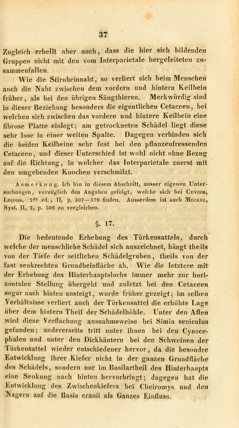 Zugleich erhellt aber auch, dass die hier sich bildenden Gruppen nicht mit den vom Interparietale hergeleiteten zu- sammenfallen. Wie die Stirnbeinnaht, so verliert sich beim Menschen auch die Naht zwischen dem vordem und hintern Keilbein früher, als bei den übrigen Säugthieren. Merkwürdig sind in dieser Beziehung besonders die eigentlichen Cetaceen, bei welchen sich zwischen das vordere und hintere Keilbein eine fibröse Platte einlegt; am getrockneten Schädel liegt diese sehr lose in einer weiten Spalte. Dagegen verbinden sich die beiden Keilbeine sehr fest bei den pflanzenfressenden Cetaceen, und dieser Unterschied ist wohl nicht ohne Bezug auf die Richtung, in welcher das Interparietale zuerst mit den umgebenden Knochen verschmilzt. Anmerkung. Ich bin in diesem Abschnitt, ausser eigenen Unter- suchungen, vorzüglich den Angaben gefolgt, welche sich bei Cu vier, Legons, 2de ed., II, p. 307—378 finden. Ausserdem ist auch Meckel, Syst. II, 2, p. 506 zu vergleichen. §. 17. Die bedeutende Erhebung des Türkensattels, durch welche der menschliche Schädel sich auszeichnet, hängt theils von der Tiefe der seitlichen Schädelgruben, theils von der fast senkrechten Grundbeinfläche ab. Wie die letztere mit der Erhebung des Hinterhauptslochs immer mehr zur hori- zontalen Stellung übergeht und zuletzt bei den Cetaceen sogar nach hintenansteigt, wurde früher gezeigt; im selben Verhältnisse verliert auch der Türkensattel die erhöhte Lage über dem hintern Theil der Schädelhöhle. Unter den Affen wird diese Verflachung ausnahmsweise bei Simia seniculus gefunden; andererseits tritt unter ihnen bei den Cynoce- phalen und unter den Dickhäutern bei den Schweinen der Türkensattel wieder entschiedener hervor, da die besondre Entwicklung ihrer Kiefer nicht in der ganzen Grundfläche des Schädels, sondern nur im Basilartheil des Hinterhaupts eine Senkung nach hinten hervorbringt; dagegen hat die Entwicklung des Zwischenkiefers bei Cheiromys und den Nagern auf die Basis cranii als Ganzes Einfluss.