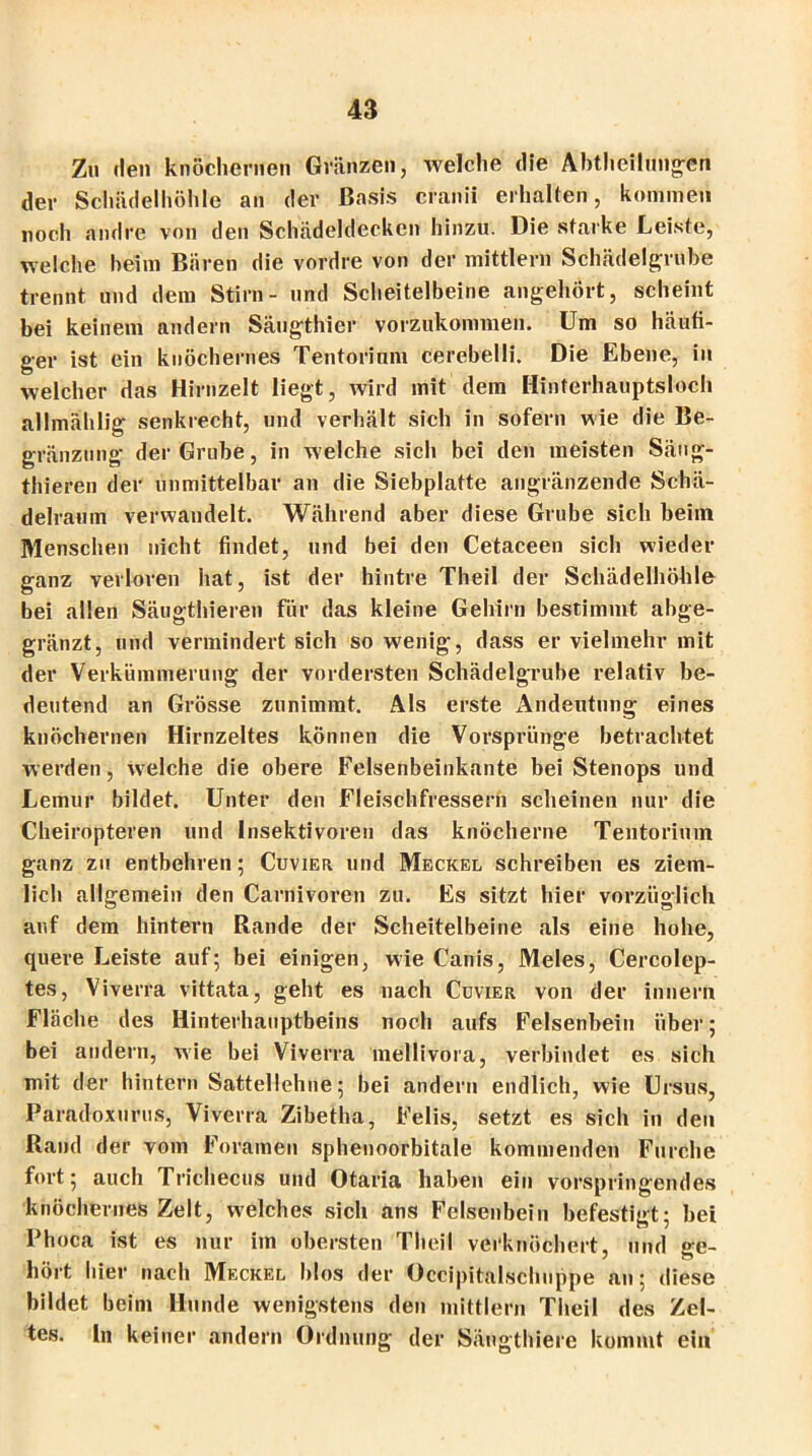 Zu den knöchernen Glänzen, welche die Abtheilungen der Schädelhöhle an der Basis cranii erhalten, kommen noch andre von den Schädeldecken hinzu. Die starke Leiste, welche heim Bären die vordre von der mittler« Schädelgrube trennt und dem Stirn- und Scheitelbeine angehört, scheint bei keinem andern Säugthier vorzukommen. Um so häufi- ger ist ein knöchernes Tentorium cerebelli. Die Ebene, in welcher das Hirnzelt liegt, wird mit dem Hinterhauptsloch allmählis: senkrecht, und verhält sich in sofern wie die Be- gränzung der Grube, in welche sich bei den meisten Säug- thieren der unmittelbar an die Siebplatte angränzende Schä- delraum verwandelt. Während aber diese Grube sich beim Menschen nicht findet, und bei den Cetaceen sich wieder ganz verloren hat, ist der hintre Theil der Schädelhöhle bei allen Säugthieren für das kleine Gehirn bestimmt abge- gränzt, und vermindert sich so wenig, dass er vielmehr mit der Verkümmerung der vordersten Schädelgrube relativ be- deutend an Grösse zunimmt. Als erste Andeutung eines knöchernen Hirnzeltes können die Vorsprünge betrachtet werden, wrelche die obere Felsenbeinkante bei Stenops und Lemur bildet. Unter den Fleischfressern scheinen nur die Cheiropteren und Insektivoren das knöcherne Tentorium ganz zu entbehren; Cuvier und Meckel schreiben es ziem- lich allgemein den Carnivoren zu. Es sitzt hier vorzüglich auf dem hintern Rande der Scheitelbeine als eine hohe, quere Leiste auf; bei einigen, wie Canis, Meies, Cercolep- tes, Viverra vittata, geht es nach Cuvier von der innern Fläche des Hinterhauptbeins noch aufs Felsenbein über; bei andern, wie bei Viverra mellivora, verbindet es sich mit der hintern Sattellehne; bei andern endlich, wie Ursus, Paradoxurus, Viverra Zibetha, Felis, setzt es sich in den Rand der vom Foramen sphenoorbitale kommenden Furche fort; auch Trichecus und Otaria haben ein vorspringendes knöchernes Zelt, welches sich ans Felsenbein befestigt; bei Phoca ist es nur im obersten Theil verknöchert, und ge- hört hier nach Meckel Idos der Occipitalschuppe an; diese bildet beim Hunde wenigstens den mittlern Theil des Zel- tes. ln keiner andern Ordnung der Sängthiere kommt ein