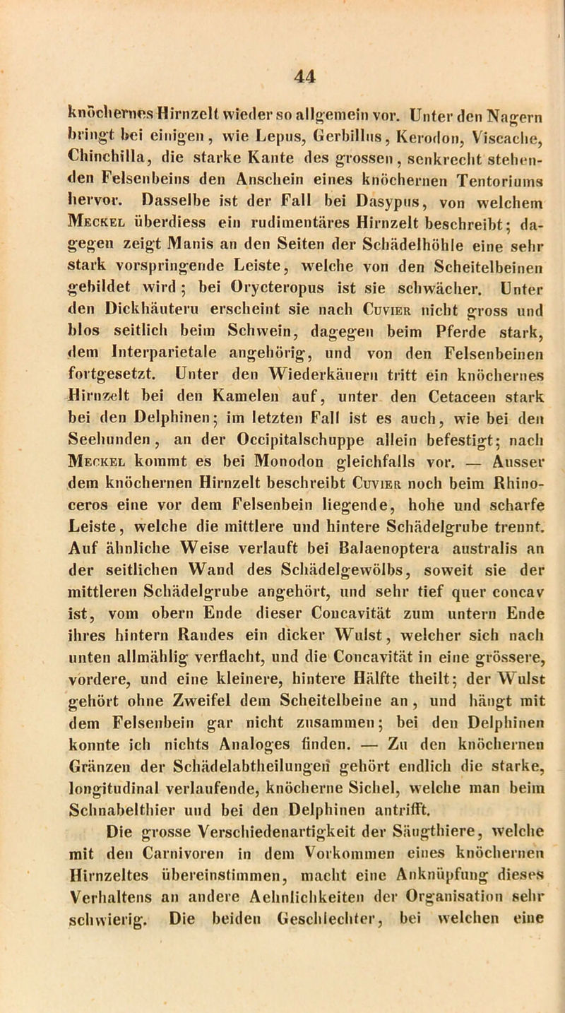 knöchernes Hirnzelt wieder so allgemein vor. Unter den Nagern bringt bei einigen, wie Lepus, Gerbillns, Kerodon, Viscaclie, Chinchilla, die starke Kante des grossen, senkrecht stehen- den Felsenbeins den Anschein eines knöchernen Tentoriums hervor. Dasselbe ist der Fall bei Dasypns, von welchem Meckel überdiess ein rudimentäres Hirnzelt beschreibt; da- gegen zeigt Manis an den Seiten der Schädelhöhle eine sehr stark vorspringende Leiste, welche von den Scheitelbeinen gebildet wird; bei Orycteropus ist sie schwächer. Unter den Dickhäutern erscheint sie nach Cuvier nicht gross und blos seitlich beim Schwein, dagegen beim Pferde stark, dem Interparietale angehörig, und von den Felsenbeinen fortgesetzt. Unter den Wiederkäuern tritt ein knöchernes Hirnzelt bei den Kamelen auf, unter den Cetaceen stark bei den Delphinen; im letzten Fall ist es auch, wie bei den Seehunden, an der Occipitalschuppe allein befestigt; nach Meckel kommt es bei Monodon gleichfalls vor. — Ausser dem knöchernen Hirnzelt beschreibt Cuvier noch beim Rhino- ceros eine vor dem Felsenbein liegende, hohe und scharfe Leiste, welche die mittlere und hintere Schädelgrube trennt. Auf ähnliche Weise verlauft bei Balaenoptera australis an der seitlichen Wand des Schädelgewölbs, sow7eit sie der mittleren Schädelgrube angehört, und sehr tief quer concav ist, vom obern Ende dieser Coucavität zum untern Ende ihres hintern Randes ein dicker Wulst, welcher sich nach unten allmählig verflacht, und die Concavität in eine grössere, vordere, und eine kleinere, hintere Hälfte theilt; der Wulst gehört ohne Zweifel dem Scheitelbeine an, und hängt mit dem Felsenbein gar nicht zusammen; bei den Delphinen konnte ich nichts Analoges finden. — Zu den knöchernen Gränzen der Schädelabtheilungeii gehört endlich die starke, longitudinal verlaufende, knöcherne Sichel, welche man beim Schnabelthier und bei den Delphinen antrifft. Die grosse Verschiedenartigkeit der Säugthiere, welche mit den Carnivoren in dem Vorkommen eines knöchernen Hirnzeltes übereinstimmen, macht eine Anknüpfung dieses Verhaltens an andere Aehnlichkeiten der Organisation sehr schwierig. Die beiden Geschlechter, bei welchen eine