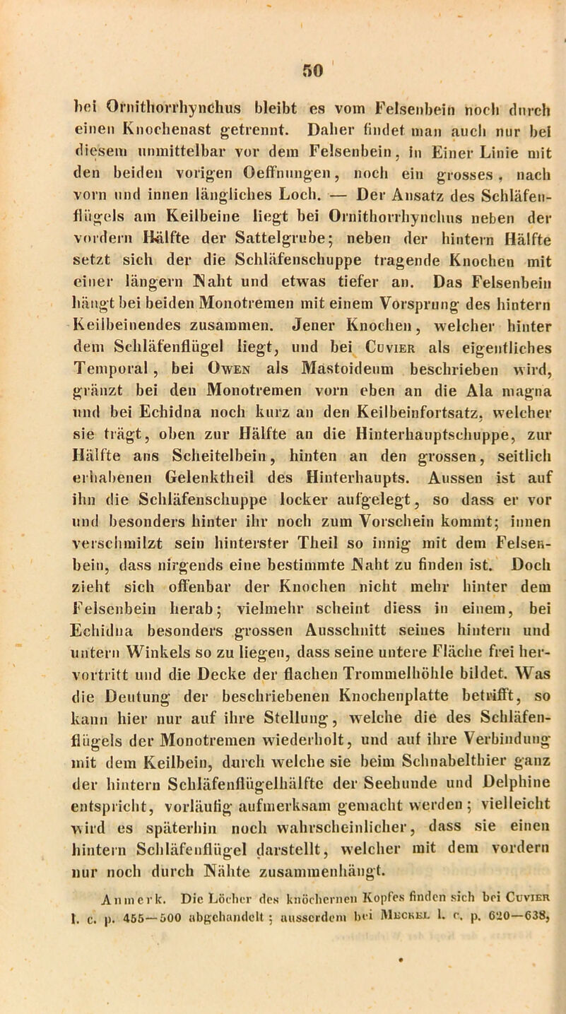 bei Qfnithorrhynchus bleibt es vom Felsenbein noch durch einen Knochenast getrennt. Daher findet man auch nur bei diesem unmittelbar vor dem Felsenbein, in Einer Linie mit den beiden vorigen Oeffnungen, noch ein grosses, nach vorn und innen längliches Loch. — Der Ansatz des Schläfeu- flügels am Keilbeine liegt bei Ornithorrhynchus neben der vordem Hälfte der Sattelgrube; neben der hintern Hälfte setzt sich der die Schläfenschuppe tragende Knochen mit einer längern Naht und etwas tiefer an. Das Felsenbein hängt bei beiden Monotremen mit einem Vorsprung des hintern Keiibeinendes zusammen. Jener Knochen, welcher hinter dem Schläfenflügel liegt, und bei Cuvier als eigentliches Temporal, bei Owen als Mastoideum beschrieben wird, glänzt bei den Monotremen vorn eben an die Ala magna und bei Echidna noch kurz an den Keilbeinfortsatz, welcher sie trägt, oben zur Hälfte an die Hinterhauptschuppe, zur Hälfte ans Scheitelbein, hinten an den grossen, seitlich erhabenen Gelenktheil des Hinterhaupts. Aussen ist auf ihn die Schläfenschuppe locker aufgelegt, so dass er vor und besonders hinter ihr noch zum Vorschein kommt; innen verschmilzt sein hinterster Theil so innig mit dem Felsen- bein, dass nirgends eine bestimmte Naht zu finden ist. Doch zieht sich offenbar der Knochen nicht mehr hinter dem Felsenbein herab; vielmehr scheint diess in einem, bei Echidna besonders grossen Ausschnitt seines hintern und untern Winkels so zu liegen, dass seine untere Fläche frei her- vortritt und die Decke der flachen Trommelhöhle bildet. Was die Deutung der beschriebenen Knochenplatte betrifft, so kann hier nur auf ihre Stellung, welche die des Schläfen- flügels der Monotremen wiederholt, und auf ihre Verbindung mit dem Keilbein, durch welche sie beim Schnabelthier ganz der hintern Schläfenflügelhälfte der Seehunde und Delphine entspricht, vorläufig aufmerksam gemacht werden; vielleicht wird es späterhin noch wahrscheinlicher, dass sie einen hintern Schläfenflügel darstellt, welcher mit dem vordem nur noch durch Nähte zusammenhängt. All merk. Die Löcher des knöchernen Kopfes finden sich bei Cuvier 1. c. |>. 455—500 abgchandelt ; ausserdem bei Meckkx. 1. c. p, 620—638,