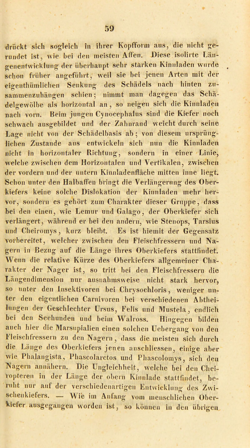 drückt sich sogleich in ihrer Kopfform aus, die nicht ge- rundet ist, wie bei den meisten Affen. Diese isolirte Län- genentwicklung der überhaupt sehr starken Kinnladen wurde schon früher angeführt,' weil sie bei jenen Arten mit der eigenthümlichen Senkung des Schädels nach hinten zu- sammenzuhängen schien; nimmt man dagegen das Schä- delgewölbe als horizontal an, so neigen sich die Kinnladen nach vorn. Beim jungen Cynocephalus sind die Kiefer noch schwach ausgebildet und der Zahnrand weicht durch seine Lage nicht von der Schädelbasis ab; von diesem ursprüng- lichen Zustande aus entwickeln sich nun die Kinnladen nicht in horizontaler Richtung, sondern in einer Linie, welche zwischen dem Horizontalen und Vertikalen, zwischen der vordem und der untern Kinnladenfläche mitten inne liegt. Schon unter den Halbaffen bringt die Verlängerung des Ober- kiefers keine solche Dislokation der Kinnladen mehr her- vor, sondern es gehört zum Charakter dieser Gruppe, dass bei den einen, wie Lemur und Galago, der Oberkiefer sich verlängert, während er bei den andern, wie Stenops, Tarsius und Cheiromys, kurz bleibt. Es ist hiemit der Gegensatz vorbereitet, welcher zwischen den Fleischfressern und Na- gern in Bezug auf die Länge ihres Oberkiefers stattfindet. Wenn die relative Kürze des Oberkiefers allgemeiner Cha- rakter der Nager ist, so tritt bei den Fleischfressern die Längendimension nur ausnahmsweise nicht stark hervor, so unter den Insektivoren bei Chrysochloris, weniger un- ter den eigentlichen Carnivoren bei verschiedenen Abthei- lungen der Geschlechter Ursus, Felis und Mustela, endlich bei den Seehunden und beim Walross. Hingegen bilden auch hier die Marsupialien einen solchen Uebergang von den Fleischfressern zu den Nagern, dass die meisten sich durch die Länge des Oberkiefers jenen anschliessen, einige aber wie Phalangista, Phascolarctos und Phascolomys, sich den Nagern annähern. Die Ungleichheit, welche bei den Chei- ropteren in der Länge der obern Kinnlade stattfindet, be- ruht nur auf der verschiedenartigen Entwicklung des Zwi- schenkiefers. — Wie im Anfang vom menschlichen Ober- kiefer ausgegangen worden ist, so können in den übrigen