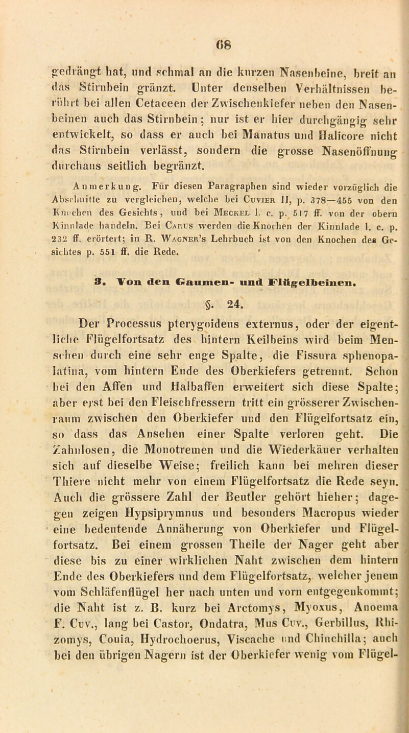 «8 gedrängt hat, und schmal an die kurzen Nasenheine, breit an das Stirnbein grunzt. Unter denselben Verhältnissen be- rührt bei allen Cetaceen der Zwischenkiefer neben den Nasen- beinen auch das Stirnbein; nur ist er hier durchgängig sehr entwickelt, so dass er auch bei Manatus und Ilalicore nicht das Stirnbein verlässt, sondern die grosse Nasenöffnung durchaus seitlich begränzt. Anmerkung. Für diesen Paragraphen sind wieder vorzüglich die Abschnitte zu vergleichen, welche bei Cuvjer 1J, p. 378—455 von den Knochen des Gesichts, und bei Meckel 1. c. p. 517 ff. von der obern Kinnlade handeln. Bei Carus werden die Knochen der Kinnlade 1. c. p. 23'2 ff. erörtert; in R. Wagner’s Lehrbuch ist von den Knochen des Ge- sichtes p. 551 ff. die Rede. 3. Von den Gaumen- und Flügelbeinen, §• 24. Der Processus pterygoideus externus, oder der eigent- liche Flügelfortsatz des hintern Keilbeins wird beim Men- schen durch eine sehr enge Spalte, die Fissura sphenopa- lattna, vom hintern Ende des Oberkiefers getrennt. Schon hei den Affen und Halbaffen erweitert sich diese Spalte; aber erst bei den Fleischfressern tritt ein grösserer Zw ischen- raum zwischen den Oberkiefer und den Flügelfortsatz ein, so dass das Ansehen einer Spalte verloren geht. Die Zahnlosen, die Monotremen und die Wiederkäuer verhalten sich auf dieselbe Weise; freilich kann bei mehren dieser Thiere nicht mehr von einem Flügelfortsatz die Rede seyu. Auch die grössere Zahl der Reutier gehört hieher; dage- gen zeigen Hypsiprymnus und besonders Macropus wieder eine bedeutende Annäherung von Oberkiefer und Flügel- fortsatz. Bei einem grossen Theile der Nager geht aber diese bis zu einer wirklichen Naht zwischen dem hintern Ende des Oberkiefers und dem Flügelfortsatz, w elcher jenem vom Schläfenflügel her nach unten und vorn entgegenkommt; die Naht ist z. B. kurz bei Arctomys, Myoxus, Anoema F. Cuv., lang bei Castor, Ondatra, Mus Cuv., Gerbillus, Rhi- zomys, Couia, Hydrochoerus, Viscache und Chinchilla; auch bei den übrigen Nagern ist der Oberkiefer wenig vom Flügel-