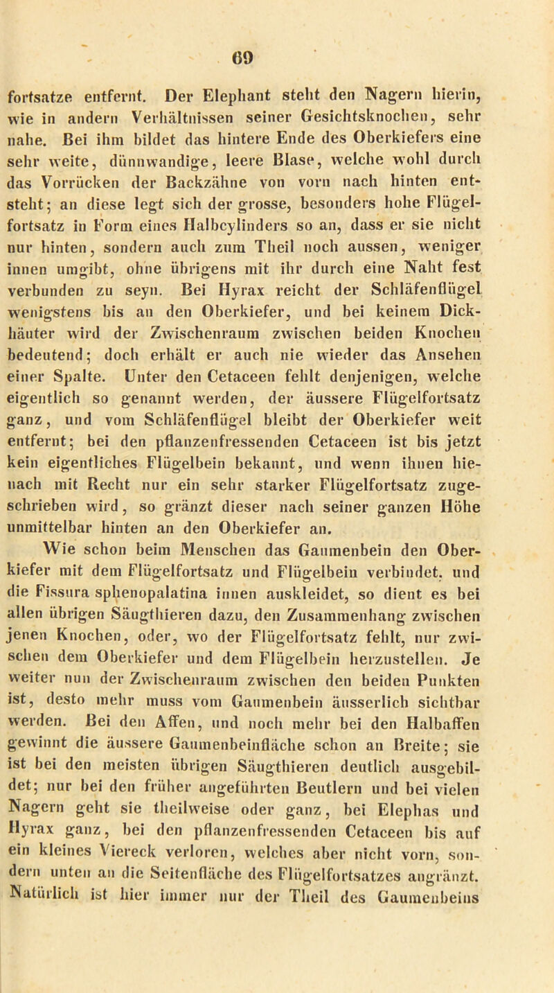 fortsatze entfernt. Der Elephant steht den Nagern hierin, wie in andern Verhältnissen seiner Gesichtsknochen, sehr nahe. Bei ihm bildet das hintere Ende des Oberkiefers eine sehr weite, dünnwandige, leere Blase, welche wohl durch d.as Vorrücken der Backzähne von vorn nach hinten ent- steht; an diese legt sich der grosse, besonders hohe Flügel- fortsatz in Form eines Halbcylinders so an, dass er sie nicht nur hinten, sondern auch zum Theil noch aussen, weniger innen umgibt, ohne übrigens mit ihr durch eine Naht fest verbunden zu seyn. Bei Hyrax reicht der Schläfenflügel wenigstens bis an den Oberkiefer, und bei keinem Dick- häuter wird der ZAvischenraum zwischen beiden Knochen bedeutend; doch erhält er auch nie wieder das Ansehen einer Spalte. Unter den Cetaceen fehlt denjenigen, wrelche eigentlich so genannt werden, der äussere Flügelfortsatz ganz, und vom Schläfenflügel bleibt der Oberkiefer weit entfernt; bei den pflanzenfressenden Cetaceen ist bis jetzt kein eigentliches Flügelbein bekannt, und wenn ihnen hie- nach mit Recht nur ein sehr starker Flügelfortsatz zuge- schrieben wird, so gränzt dieser nach seiner ganzen Höhe unmittelbar hinten an den Oberkiefer an. Wie schon beim Menschen das Gaumenbein den Ober- kiefer mit dem Flügelfortsatz und Flügelbein verbindet, und die Fissura sphenopalatina innen auskleidet, so dient es bei allen übrigen Säugthieren dazu, den Zusammenhang zwischen jenen Knochen, oder, wo der Flügelfortsatz fehlt, nur zwi- schen dem Oberkiefer und dem Flügelbein herzustellen. Je weiter nun der Zwischenraum zwischen den beiden Punkten ist, desto mehr muss vom Gaumenbein äusserlich sichtbar werden. Bei den Affen, und noch mehr bei den Halbaffen gewinnt die äussere Gaumenbeinfläche schon an Breite; sie ist bei den meisten übrigen Säugthieren deutlich ausgebil- det; nur bei den früher angeführten Beutlern und bei vielen Nagern geht sie theilweise oder ganz, bei Elephas und Hyrax ganz, bei den pflanzenfressenden Cetaceen bis auf ein kleines Viereck verloren, welches aber nicht vorn, son- dern unten an die Seitenfläche des Flügelfortsatzes angränzt. Natürlich ist hier immer nur der Theil des Gaumenbeins