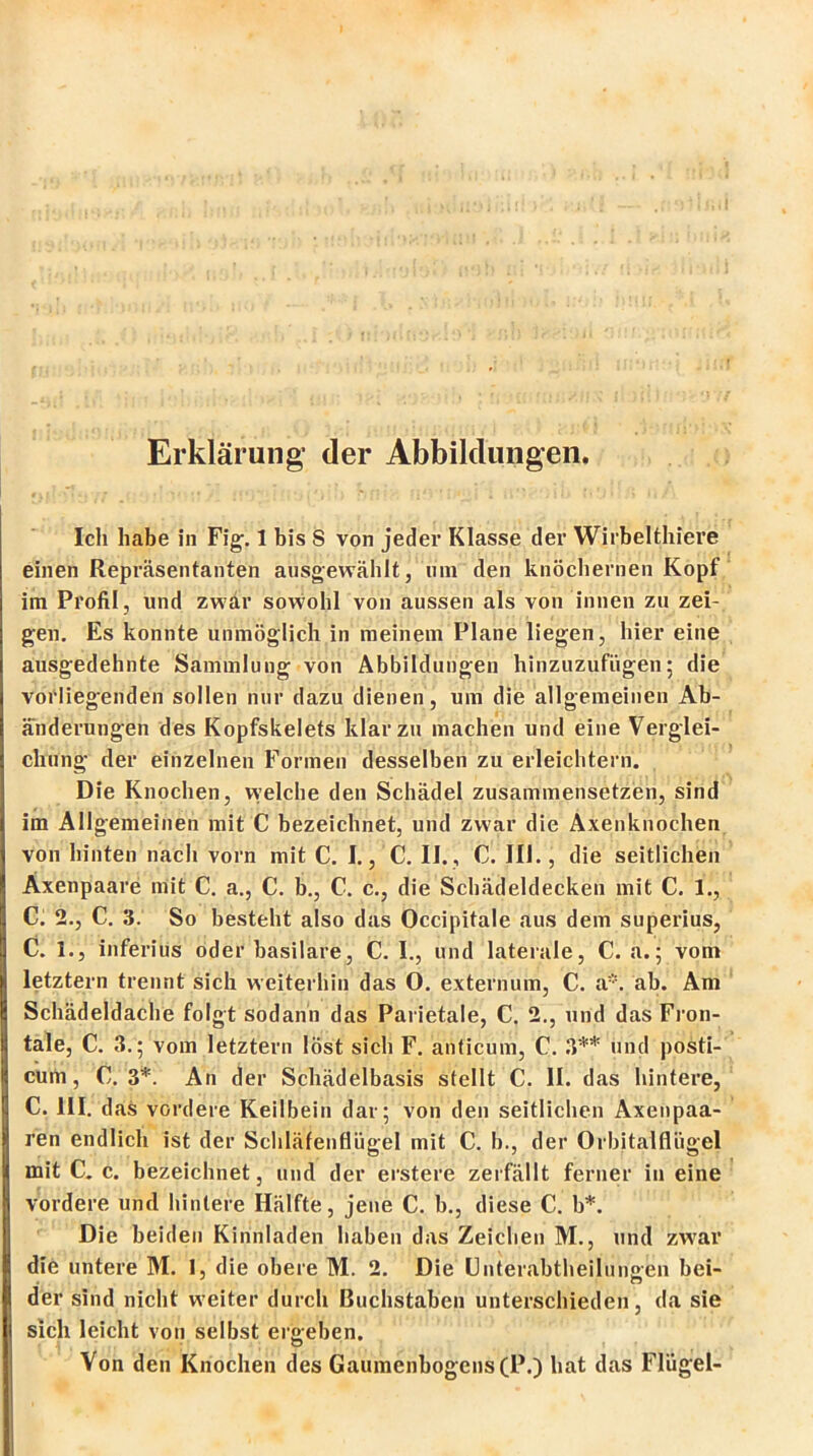 Erklärung der Abbildungen. Ich habe in Fig. 1 bis S von jeder Klasse der Wirbelthiere einen Repräsentanten ausgewählt, um den knöchernen Kopf im Profil , und zwar sowohl von aussen als von innen zu zei- gen. Es konnte unmöglich in meinem Plane liegen, hier eine ausgedehnte Sammlung von Abbildungen hinzuzufügen; die vorliegenden sollen nur dazu dienen, um die allgemeinen Ab- änderungen des Kopfskelets klar zu machen und eine Verglei- chung der einzelnen Formen desselben zu erleichtern. Die Knochen, welche den Schädel zusammensetzen, sind im Allgemeinen mit C bezeichnet, und zwar die Axenknochen von hinten nach vorn mit C. I., C. II., C. III., die seitlichen Axenpaare mit C. a., C. b., C. c., die Schädeldecken mit C. 1., C. 2., C. 3. So besteht also das Occipitale aus dem superius, C. 1., inferius oder basilare, C. I., und laterale, C. ä.; vom letztem trennt sich weiterhin das O. externum, C. a*. ab. Am Schädeldache folgt sodann das Parietale, C. 2., und das Fron- tale, C. 3.; vom letztem löst sich F. anticum, C. 3** und posti- cum, C. 3*. An der Schädelbasis stellt C. II. das hintere, C. III. das vordere Keilbein dar; von den seitlichen Axenpaa- ren endlich ist der Schläfenflügel mit C. b., der Orbitalflügel mit C. c. bezeichnet, und der erstere zerfällt ferner in eine vordere und hintere Hälfte, jene C. b., diese C. b*. Die beiden Kinnladen haben das Zeichen M., und zwar die untere M. I, die obere M. 2. Die Unterabtheilungen bei- der sind nicht weiter durch Buchstaben unterschieden, da sie sich leicht von selbst eraeben, • 4 . O t , » .... I... n Von den Knochen des Gaumenbogens (P.) hat das Flügel-