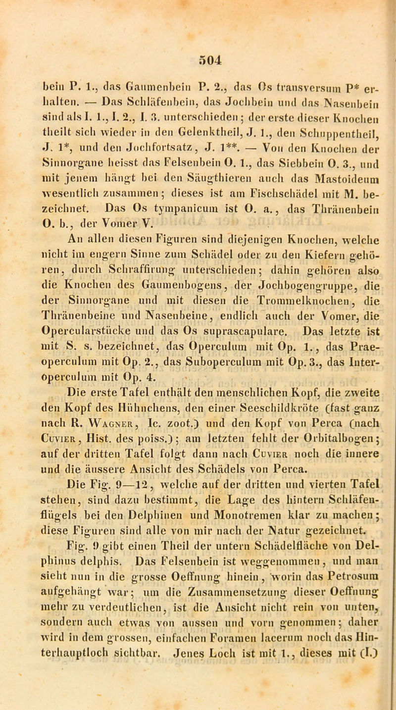 bein P. l.j das Gaumenbein P. 2., das Os transversum P* er- balten. — Das Schläfenbein, das Jochbein und das Nasenbein sind als I. 1., I. 2., I. 3. unterschieden ; der erste dieser Knochen theilt sich wieder in den Gelenktheil, J. 1., den Schuppentheil, J. 1*, und den Jochfortsatz, J. 1**. — Von den Knochen der Sinnorgane heisst das Felsenbein 0. 1., das Siebbein O. 3., und mit jenem hängt bei den Säugthieren auch das 31astoideum wesentlich zusammen; dieses ist am Fischschädel mit 31. be- zeichnet. Das Os tympanicum ist O. a., das Thränenbein O. b., der Vomer V. An allen diesen Figuren sind diejenigen Knochen, welche nicht im engern Sinne zum Schädel oder zu den Kiefern gehö- ren, durch Schraffirung unterschieden; dahin gehören also die Knochen des Gaumenbogens, der Jochbogengruppe, die der Sinnorgane und mit diesen die Trommelknochen, die Thränenbeine und Nasenbeine, endlich auch der Vomer, die Opercularstücke und das Os suprascapulare. Das letzte ist mit S. s. bezeichnet, das Operculum mit Op. 1., das Prae- operculum mit Op. 2., das Suboperculum mit Op. 3., das Inter- operculum mit Op. 4. Die erste Tafel enthält den menschlichen Kopf, die zweite den Kopf des Hühnchens, den einer Seeschildkröte (fast ganz nach R. Wagner, Ic. zoot.) und den Kopf von Perca (nach Cuvier , Hist, des poiss.) ; am letzten fehlt der Orbitalbogen; auf der dritten Tafel folgt dann nach Cuvier noch die innere und die äussere Ansicht des Schädels von Perca. Die Fig. 9—12, welche auf der dritten und vierten Tafel stehen, sind dazu bestimmt, die Lage des hintern Schläfeu- fliigels bei den Delphinen und 31onotremen klar zu machen; diese Figuren sind alle von mir nach der Natur gezeichnet. Fig. 9 gibt einen Theil der untern Schädelfläche von Del- phinus delphis. Das Felsenbein ist weggenommen , und man sieht nun in die grosse Oelfnung hinein, worin das Petrosura aufgehängt war; um die Zusammensetzung dieser Oeffnung mehr zu verdeutlichen, ist die Ansicht nicht rein von unten, sondern auch etwas von aussen und vorn genommen; daher wird in dem grossen, einfachen Foramen lacerum noch das Hin- terhauptloch sichtbar. Jenes Loch ist mit 1., dieses mit (I.)