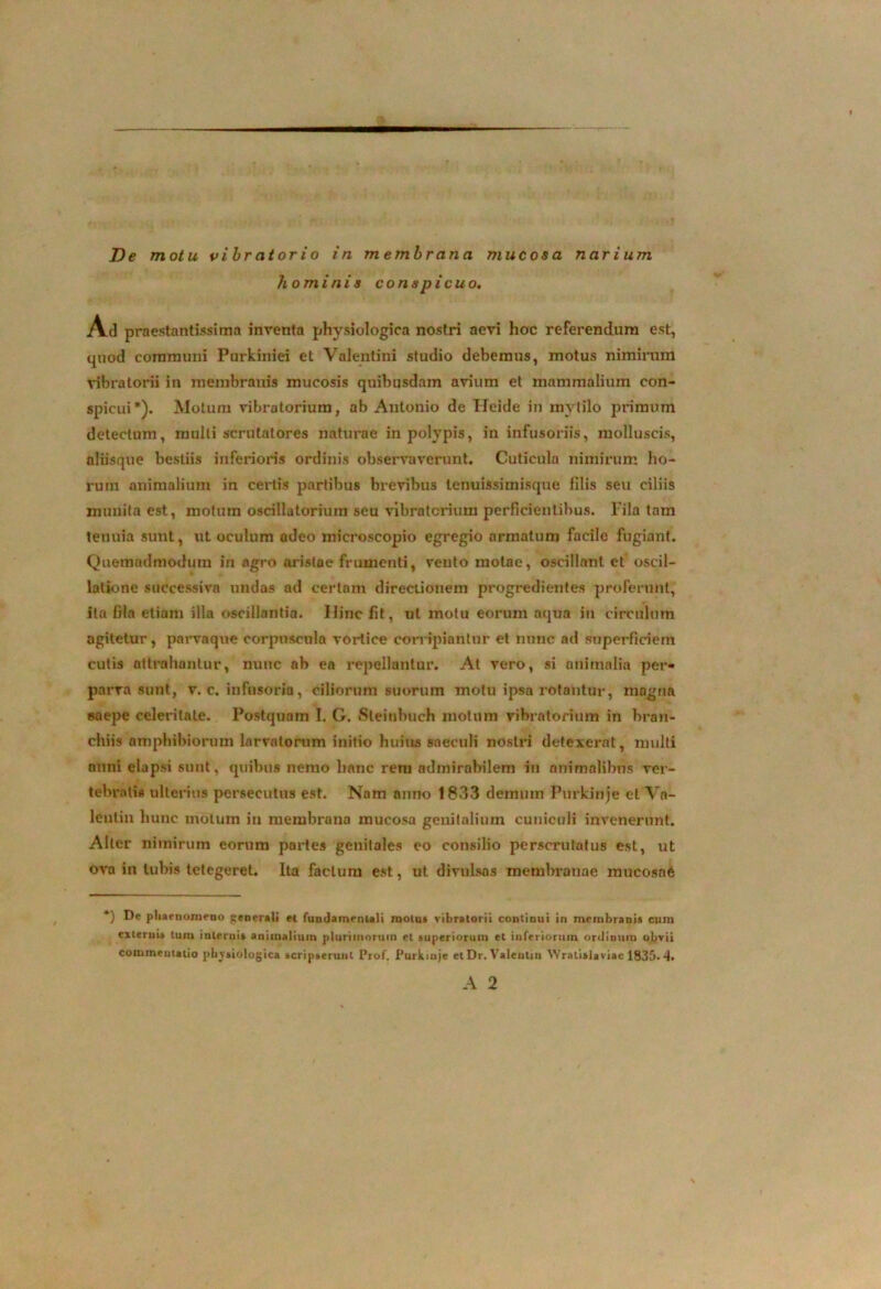 hominis conspicuo. Ad praestantissirna inventa physiologica nostri aevi hoc referendum est, quod communi Purkiniei et Valentini studio debemus, motus nimirum vibratorii in membranis mucosis quibusdam avium et mammalium con- spicui*). Motum vibratorium, ab Antonio de Ilcide in invlilo primum detectum, mulli scrutatores naturae in polypis, in infusoriis, molluscis, aliisque bestiis inferioris ordinis observaverunt. Cuticula nimirum ho- rum animalium in certis partibus brevibus lenuissimisque lilis seu ciliis munita est, motum oscillatoriuin seu vibratorium perficientibus. Fila tam tenuia sunt, ut oculum adeo microscopio egregio armatum facile fugiant. Quemadmodum in agro aristae frumenti, veuto molae, oscillanl. et oscil- latione successiva undas ad certam directionem progredientes proferunt, ita fila etiam illa oscillantia. Hinc fit, ut motu eorum aqua in circulum agitetur, parvaque corpuscula vortice corripiantur et nunc ad superficiem cutis attrahantur, nunc ab ea repellantur. At vero, si animalia per- parva sunt, v. c. infusoria, ciliorum suorum motu ipsa rotantur, magna saepe celeritate. Postquam I. G. Sleiubuch motum vibratorium in bran- chiis amphibiorum larvatorum initio huius saeculi nostri detexerat, nnilti anni elapsi sunt, quibus nemo hanc rem admirabilem in animalibus ver- tebratis ulterius persecutus est. Nam anno 1833 demum Purkinje et Va- lenlin hunc motum in membrana mucosa genitalium cuniculi invenerunt. Alter nimirum eorum portes genitales eo consilio perscrutatus est, ut ova in tubis tetegeret. Ita facium est, ut divulsas membranae mucosae *) phaenomeno generAti et fundamentali motus vibratorii continui in membranis cum exteruu tum internis animalium plurimorum et superiorum et inferiorum ordinum obvii commeutalio pbvsiologica scripserunt Prof. Purktnje etDr. Valentia Wratialaviac 1835.4. A 2