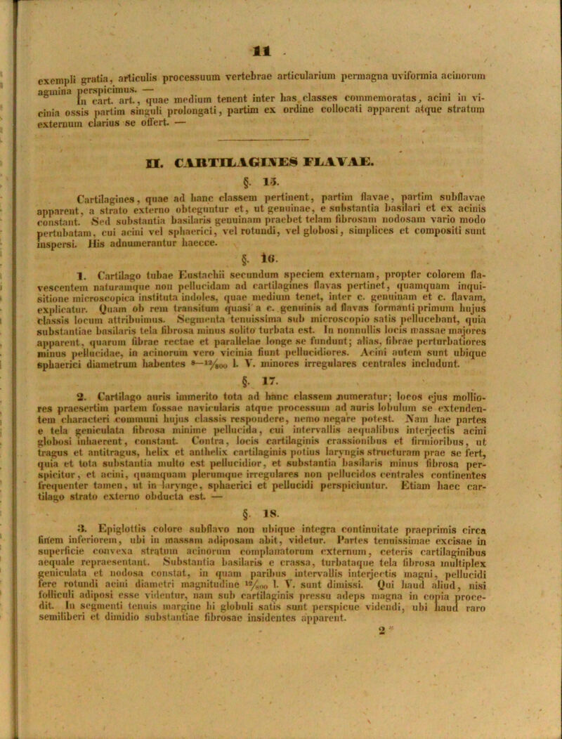 exempli gratia, articulis processuum vertebrae articularium permagna uviformia acinorum agmina |^™1M ,jUae me<j;um tenent inter has. classes commemoratas, acini in vi- cinia ossis partim singuli prolongati, partim ex ordine collocati apparent atque stratura externum clarius se offert. — H. CABTII iGL\E§ FLAVAE. §• 15 Cartilagines, quae ad hanc classem pertinent, partim flavae, partim subflavae apparent, a strato externo obteguntur et, ut genuinae, e substantia basilari et ex acinis constant. Sed substantia basilaris genuinam praebet telam fibrosam nodosam vario modo pertubatam, cui acini vel sphaerici, vel rotundi, vel globosi, simplices et compositi sunt inspersi. His adnumerantur haecce. §. Io. 1. Cartilago tubae Eustacliii secundum speciem externam, propter colorem fla- vescentem naturamque non pellucidam ad cartilagines flavas pertinet, quamquam inqui- sitione microscopica instituta indoles, quae medium tenet, inter c. genuinam et c. flavam, explicatur. Quam oh rem transitum quasi a c. genuinis ad flavas formanti primum hujus classis locum attribuimus. Segmenta tenuissima sub microseopio satis pellucebant, quia substantiae basilaris tela fibrosa minus solito turbata est. In nonnullis locis massae majores apparent, quarum librae rectae et parallelae longe se fundunt; alias, fibrae perturbatiores minus pellueidae, in acinorum vero vicinia fiant pellucidiores. Acini autem sunt ubique sphaerici diametrum habentes *—»%oo 1. V. minores irregulares centrales includunt. §. 17. 2. Cartilago auris immerito tota ad hanc classem numeratur; locos ejus mollio- res praesertim partem fossae navicularis atque processum ad auris lobulum se extenden- tem characteri communi hujus classis respondere, nemo negare potest. Nam hae partes e tela geniculata fibrosa minime pellucida, cui intervallis aequalibus interjectis acini globosi inhaerent, constant Contra, locis cartilaginis crassionibus et firmioribus, ut tragus et antitragus, helix et anthelix cartilaginis potius laryngis structuram prae se fert, quia et tota substantia multo est pellucidior, et substantia basilaris minus fibrosa per- spicitur, ct acini, quamquam plerumque irregulares non pellucidos centrales continentes frequenter tamen, ut in larynge, sphaerici et pellucidi perspiciuntur. Etiam haec car- tilago strato externo obdueta est — §. 18. JJ. Epiglottis eoiore subflavo non ubique integra continuitate praoprimis circa fidem inferiorem, ubi in massam adiposam abit, videtur. Partes tenuissimae excisae in superficie convexa strqtum acinorum complanatorum externum, ceteris cartilaginibus aequale repraesentant. Substantia basilaris e crassa, turbataque tela fibrosa multiplex geniculata et nodosa constat, in quam paribus intervallis interjectis magni, pellucidi fere rotundi acini diametri magnitudine w/soo 1. V. sunt dimissi. Qui haud aliud, nisi folliculi adiposi esse videntur, nam sub cartilaginis pressu adeps magna in copia proce- dit. In segmenti tenuis margine hi globuli satis sunt perspicue videndi, ubi nauil raro semiliberi et dimidio substantiae fibrosae insidentes apparent. <* *