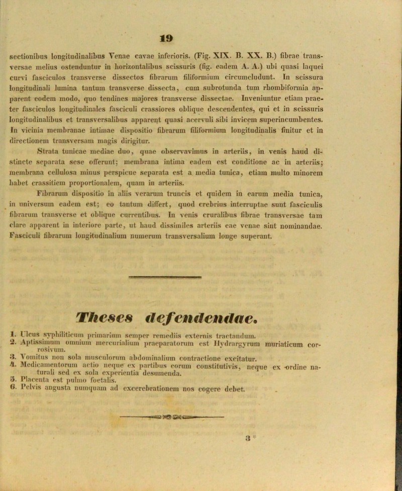 sectionibus longitiulinalibus Tenae cavae inferioris. (Fig. XIX. B. XX. B.) fibrae trans- versae melius ostenduntur in horizontalibus scissuris (fig. eadem A. A.) ubi quasi laquei curvi fasciculos transverse dissectos fibrarum filiformium circumcludunt. In scissura longitudinali lumina tantum transverse dissecta, cuui subrotunda tum rbombifonnia ap- parent eodem modo, quo tendines majores transverse dissectae. Inveniuntur etiam prae- ter fasciculos longitudinales fasciculi crassiores oblique descendentes, qui et in scissuris longitudinalibus et transversalibus apparent quasi acervuli sibi invicem superincumbentes. In vicinia membranae intimae dispositio fibrarum filifonnium longitudinalis finitur ct in directionem transversam magis dirigitur. Strata tunicae mediae duo, quae obser\’avimus in arteriis, in venis haud di- stmete separata sese otTerunt; membrana intima eadem est conditione ac in arteriis; membrana cellulosa minus perspicue separata est a media tunica, etiam multo minorem habet crassitiem proportionalem, quam in arteriis. Fibrarum dispositio in aliis verarum truncis ct quidem in earum inedia tunica, in universum eadem est; eo tantum differt, quod crebrius interruptae sunt fasciculis fibrarum transverse et oblique currentibus. In venis cruralibus fibrae transversae tam clare ajiparent m interiore parte, ut haud dissimiles arteriis eae venae sint nominandae. Fasciculi fibrarum longKudiualium numerum transversalium longe superant. Thebes ilef cntlemlae, 1. l Icus syphiliticum primarium semper remediis externis tractandum. 2. A{itissimum omnium mercurialium praeparatorum est llvdrargvrum muriaticum cor- rosivum. tJ. ^ omitus non sola musculorum abdominalium contractione excitatur. ftleilictTuieiitorum aedio neque ex jiartibus eorum constitutivis, neque ex -ordine na- turali sed ex sida experientia desumenda. 3. IMacenta est pulmo foelalis. (i. Pelvis angusta numquam ad excerebrationem nos cogere debet. 3^
