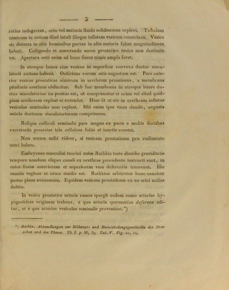 o ralius indagarem , aere vel materia fluida solidescente replevi. Tubulum uimirum in ostium illud intuli filoque inflatam vesicam constrinxi. Vesica sic distenta in aliis hominibus parvae in aliis maioris fabae magnitudinem habuit. Colligendo et asservando succo prostatico vesica uou destinata est. Apertura ostii enim ad hunc finem nimis ampla foret. Iu utroque latere eius vesicae in superficie convexa ductus ejacu- latorii exitum habent. Orificium eorum satis augustum est. Pars ante- rior vesicae prostaticae nimirum in urethram prominens, a membrana pituitaria urethrae obducitur. Sub hac membrana in utroque latere du- ctus eiaculatorius ita positus est, ut comprimatur si urina vel aliud quid- piam urelhream repleat et extendat. Ilinc fit ut aer in urethram inflatu» vesiculas seminales non repleat. Sibi enim ipse viam claudit, angusta ostiola ductuum eiaculatoriorum comprimens. Reliqua colliculi seminalis pars magna ex parte e multis ductibus excretoriis prostatae tela cellulosa fultis et iunclis constat. Non errare mihi videor, si vesicam prostaticam pro rudimento uteri habeo. Embryones masculini taurini enim Rathkio teste dimidio graviditatis tempore nondum elapso canali ex urethrae procedente instructi sunt, in cuius finem anteriorem et superiorem vasa deferentia transeunt Ilie canalis vaginae et utero similis est. Ralhkius arbitratur hunc canalem postea plane evanescere, Equidem vesicam prostaticam ex eo oriri nullus dubito. In vesica prostatica arteria ramos spargit eodem ramo arteriae hy- pogastricae originem trahens, e quo arteria spermatica deferens edi- tur, et e quo arteriae vesiculae seminalis proveniunt.*) Rathle, Abhandlungen zur Bildunga- und Entwichelungsgeachichte dea JIen>-