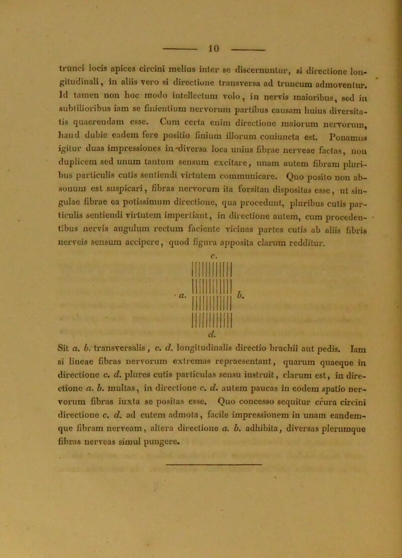 trunci locis apices circini melius inter se discernuntur, si directione lon- gitudinali , in aliis vero si directione transversa ad truncum admoventur. Id tamen non hoc modo intellectum volo, in nervis maioribus, sed in subtilioribus iam se finientium nervorum partibus causam huius diversita- tis quaerendam esse. Cum certa enim directione maiorum nervorum, haud dubie eadem fere positio fmium illorum coniuncta est. Ponamus igitur duas impressiones in-diversa loca unius fibrae nerveae factas, non duplicem sed unum tantum sensura excitare, unam autem fibram pluri- hiis particulis cutis sentiendi virtutem communicare. Quo posito non ab- sonum est suspicari, hbras nervorum ita forsitan disjjositas esse, ut sin- gulae fibrae ea potissimum directione, qua procedunt, pluribus cutis par- ticulis sentiendi virtutem impertiant, in directione autem, cum proceden- ' tibus nervis angulum rectum faciente vicinas partes cutis ab aliis fibris nerveis sensura accipere, quod figura apposita clamm i-edditur. Sit a. b. transversalis , c. d. longitudinalis directio brachii aut pedis. Iam si lineae fibras nervorum extremas repraesentant, quarum quaeque in directione c. d. plures cutis particulas sensu instruit, clarum est, iu dire- ctione a. h. multas, in directione c. d. autem paucas in eodem spatio ner- vorum flbi’as iuxta se positas esse. Quo concesso sequitur crura circini directione c. d. ad cutem admota, facile impressionem in unam eandem- que fibram nerveam, altera directione a. b. adhibita, diversas plerumque filiras nerveas simul pungere.