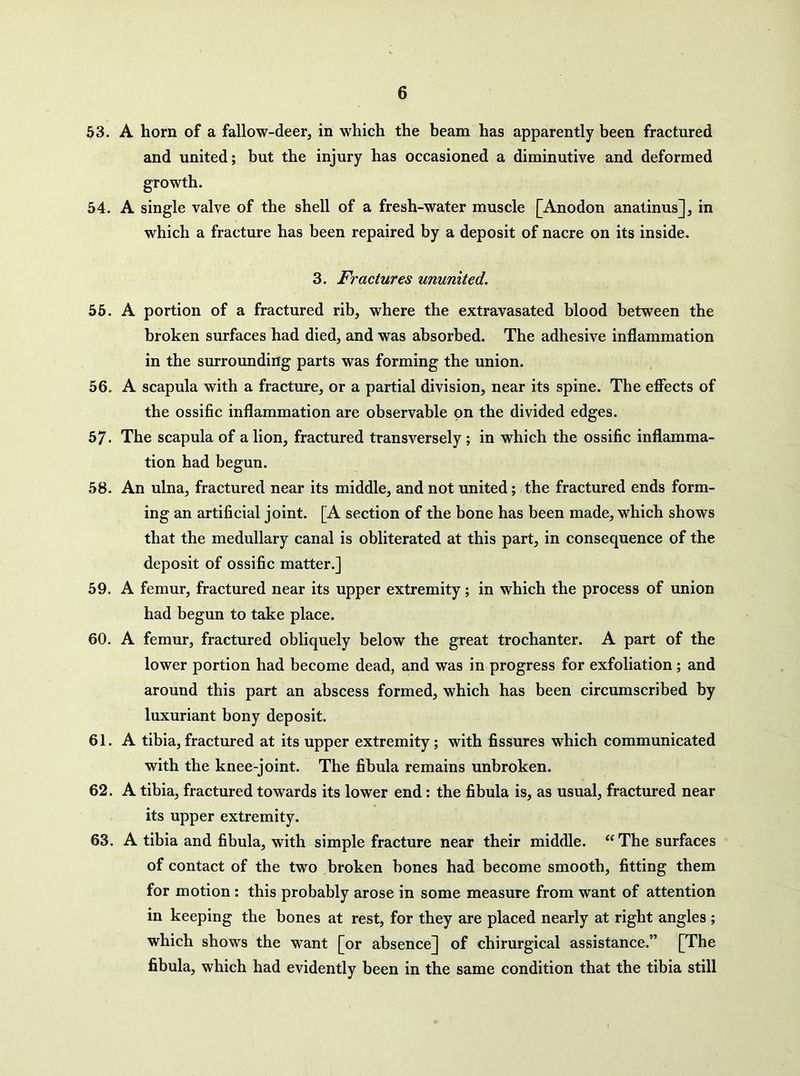 63. A horn of a fallow-deer, in which the beam has apparently been fractured and united; but the injury has occasioned a diminutive and deformed growth. 54. A single valve of the shell of a fresh-water muscle [Anodon anatinus], in which a fracture has been repaired by a deposit of nacre on its inside. 3. Fractures ununited. 56. A portion of a fractured rib, where the extravasated blood between the broken surfaces had died, and was absorbed. The adhesive inflammation in the surrounding parts was forming the union. 56. A scapula with a fracture, or a partial division, near its spine. The effects of the ossific inflammation are observable on the divided edges. 57. The scapula of a lion, fractured transversely ; in which the ossific inflamma- tion had begun. 58. An ulna, fractured near its middle, and not united; the fractured ends form- ing an artificial joint. [A section of the bone has been made, which shows that the medullary canal is obliterated at this part, in consequence of the deposit of ossific matter.] 59. A femur, fractured near its upper extremity; in which the process of union had begun to take place. 60. A femur, fractured obliquely below the great trochanter. A part of the lower portion had become dead, and was in progress for exfoliation; and around this part an abscess formed, which has been circumscribed by luxuriant bony deposit. 61. A tibia, fractured at its upper extremity; with fissures which communicated with the knee-joint. The fibula remains unbroken. 62. A tibia, fractured towards its lower end: the fibula is, as usual, fractured near its upper extremity. 63. A tibia and fibula, with simple fracture near their middle. “The surfaces of contact of the two broken bones had become smooth, fitting them for motion: this probably arose in some measure from want of attention in keeping the bones at rest, for they are placed nearly at right angles ; which shows the want [or absence] of chirurgical assistance.” [The fibula, which had evidently been in the same condition that the tibia still