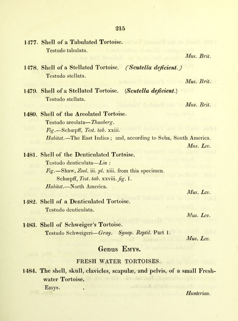 1477. Shell of a Tabulated Tortoise. Testudo tabulata. Mus. Brit. 1478. Shell of a Stellated Tortoise. (Scutella deficient.) Testudo stellata. Mus. Brit. 1479. Shell of a Stellated Tortoise. {Scutella deficient^ Testudo stellata. Mus. Brit. 1480. Shell of the Areolated Tortoise. Testudo areolata—Thunherg. Fig.—SchoepfF, Test. tab. xxiii. Habitat.—The East Indies ; and, according to Seba, South America. Mus. Lev. 1481. Shell of the Denticulated Tortoise. Testudo denticulata—Lin : Pig.—Shaw, Zool. hi. pi. xiii. from this specimen. SchoepfF, Test. tab. xxviii.j%. 1. Habitat.—North America. Mus. Lev. 1482. Shell of a Denticulated Tortoise. Testudo denticulata. Mus. Lev. 1483. Shell of Schweiger’s Tortoise. Testudo Schweigeri—Gray. Synop. Reptil. Part 1. Mus. Lev. Genus Emys. FRESH WATER TORTOISES. 1484. The shell, skull, clavicles, scapulae, and pelvis, of a small Fresh- water Tortoise. Emys.