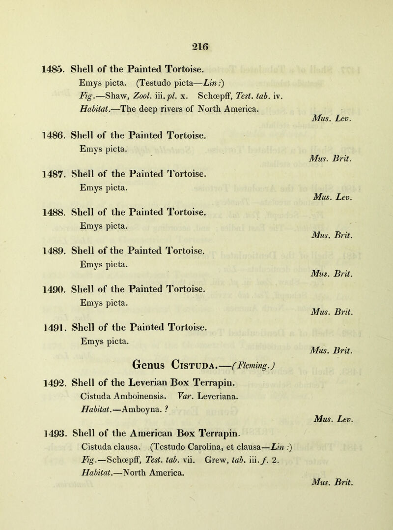 1485. Shell of the Painted Tortoise. Emys picta. (Testudo picta—£m:) Fig.—Shaw, Zool. iii.pl. x. Schoepff, Test. tab. iv. Habitat.—The deep rivers of North America. Mas. Lev. 1486. Shell of the Painted Tortoise. Emys picta. Mus. Brit. 1487. Shell of the Painted Tortoise. Emys picta. Mus. Lev. 1488. Shell of the Painted Tortoise. Emys picta. Mus. Brit. 1489. Shell of the Painted Tortoise. Emys picta. Mus. Brit. 1490. Shell of the Painted Tortoise. Emys picta. Mus. Brit. 1491. Shell of the Painted Tortoise. Emys picta. Mus. Brit. Genus CiSTUDA.—(Fleming.) 1492. Shell of the Leverian Box Terrapin. Cistuda Amboinensis. Var. Leveriana. Habitat.—Amboyna. ? Mus. Lev. 1493. Shell of the American Box Terrapin. Cistuda clausa. (Testudo Carolina, et clausa—Lin ;) Fig.—Schoepff, Test. tab. vii. Grew, tab. iW.f. 2. Habitat.—North America.