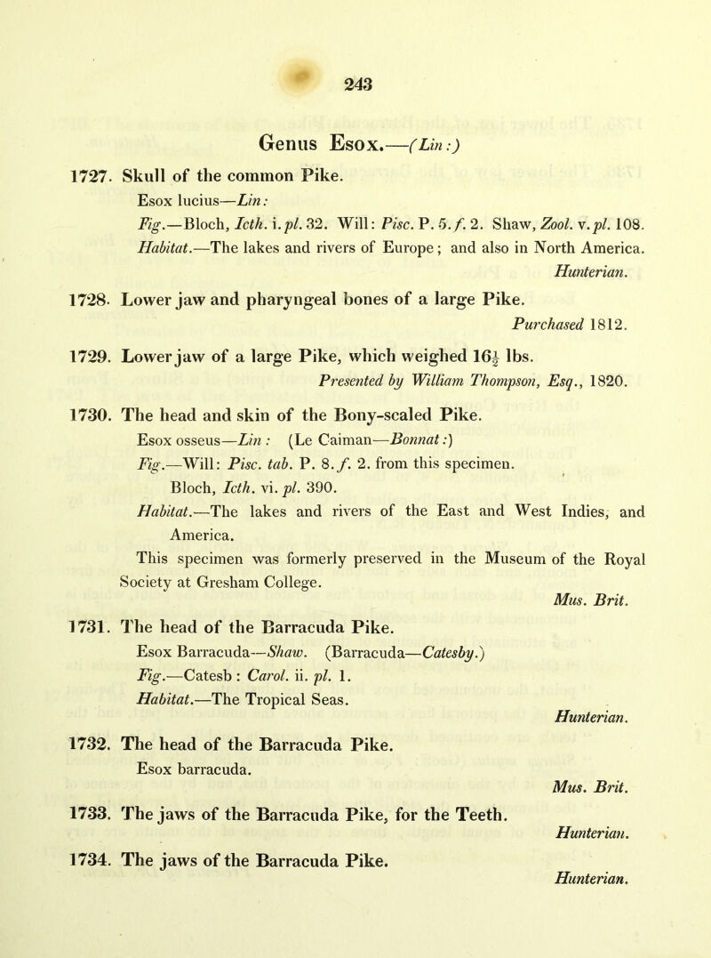 Genus Esox. (Lin:) 1727. Skull of the common Pike. Esox lucius—Lin: Fig.—Bloch, Icth. \.pl. 32. Will: Pise. P. .5./. 2. Shaw, Zool. v.pl. 108. Habitat.—The lakes and rivers of Europe; and also in North America. Hunterian. 1728. Lower jaw and pharyngeal bones of a large Pike. Purchased 1812. 1729. Lower jaw of a large Pike, which weighed 16| lbs. Presented by William Thompson, Esq., 1820. 1730. The head and skin of the Bony-scaled Pike. Esox osseus—Lin : (Le Caiman—Bonnat;) Fig.—Will: Pise. tab. P. 8./. 2. from this specimen. Bloch, Icth. vi. pi. 390. Habitat.-—The lakes and rivers of the East and West Indies, and America. This specimen was formerly preserved in the Museum of the Royal Society at Gresham College. Mus. Brit. 1731. The head of the Barracuda Pike. Esox Barracuda—Shaw. (Barracuda—Catesby.) Fig.—Catesb : Carol, ii. pi. 1. Habitat.—The Tropical Seas. Hunterian. 1732. The head of the Barracuda Pike. Esox barracuda. Mus. Brit. 1733. The jaws of the Barracuda Pike, for the Teeth. Hunterian. 1734. The jaws of the Barracuda Pike.