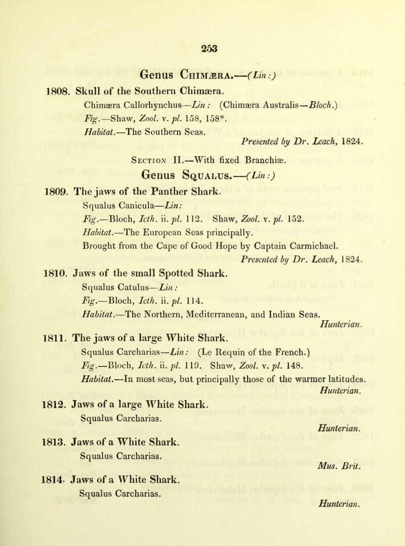 Genus CniMiERA. (Lin:) 1808. Skull of the Southern Chimaera. Chimsera Callorhynchus—Lin : (Chimaera Australis—Bloch.) Fig.—Shaw, Zool. v. pi. 158, 158^. Habitat.—The Southern Seas. Presented by Dr. Leach, 1824. Section II.—With fixed Branchiae. Genus SqUALUS. (Lin:) 1809. The jaws of the Panther Shark. Squalus Canicula—Lin: Fig.—Bloch, Icth. '\i. pi. 112. Shaw, Zool. v. pi. 152. Habitat.—The European Seas principally. Brought from the Cape of Good Hope by Captain Carmichael. Presented by Dr. Leach, 1824. 1810. Jaws of the small Spotted Shark. Squalus Catulus—Lin: Fig.—Bloch, Icth. \\. pi. 114. Habitat.—The Northern, Mediterranean, and Indian Seas. Hunterian. 1811. The jaws of a large White Shark. Squalus Carcharias—Lin: (Le Requin of the French.) Fig.—Bloch, Icth. \\. pi. 119. Shaw, Zool. y. pi. 148. Habitat.—In most seas, but principally those of the warmer latitudes. Hunterian. 1812. Jaws of a large M^hite Shark. Squalus Carcharias. Hunterian. 1813. Jaws of a White Shark. Squalus Carcharias. Mus. Brit. 1814- Jaws of a White Shark. Squalus Carcharias.