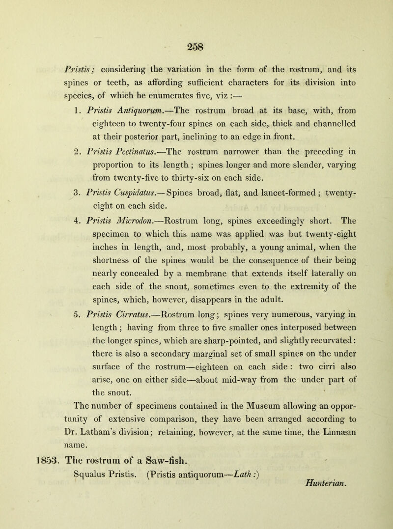 Pristis; considering the variation in the form of the rostrum, and its spines or teeth, as affording sufficient characters for its division into species, of which he enumerates five, viz :— 1. Pristis Antiquorum.—The rostrum broad at its base, with, from eighteen to twenty-four spines on each side, thick and channelled at their posterior part, inclining to an edge in front. 2. Pristis Pectinatus.—The rostrum narrower than the preceding in proportion to its length; spines longer and more slender, varying from twenty-five to thirty-six on each side. 3. Pristis Cuspidatiis.—Spines broad, flat, and lancet-formed; twenty- eight on each side. 4. Pristis Microdon.—Rostrum long, spines exceedingly short. The specimen to which this name was applied was but twenty-eight inches in length, and, most probably, a young animal, when the shortness of the spines would be the consequence of their being nearly concealed by a membrane that extends itself laterally on each side of the snout, sometimes even to the extremity of the spines, which, however, disappears in the adult. 5. Pristis Cirratus.—Rostrum long; spines very numerous, varying in length ; having from three to five smaller ones interposed between the longer spines, which are sharp-pointed, and slightly recurvated: there is also a secondary marginal set of small spines on the under surface of the rostrum—eighteen on each side : two cirri also arise, one on either side—about mid-way from the under part of the snout. The number of specimens contained in the Museum allowing an oppor- tunity of extensive comparison, they have been arranged according to Dr. Latham’s division; retaining, however, at the same time, the Linnaean name. 1853. The rostrum of a Saw-fish. Squalus Pristis. (Pristis antiquorum-—;)