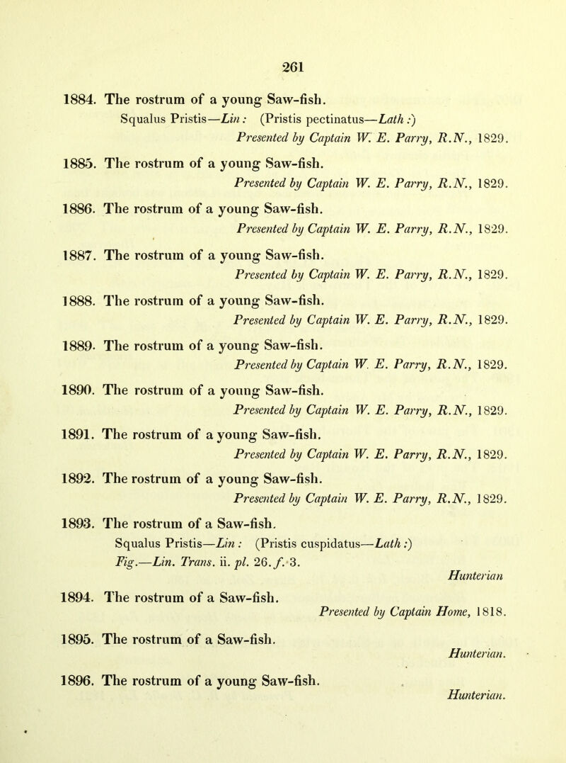 1884. The rostrum of a young Saw-fish. Squalus Pristis—Lin: (Pristis pectinatus—Lath:) Presented by Captain W. E. Parry, R.N., 1829. 1885. The rostrum of a young Saw-fish. Presented by Captain W. E. Parry, R.N., 1829. 1886. The rostrum of a young Saw-fish. Presented by Captain W. E. Parry, R.N., 1829. 1887. The rostrum of a young Saw-fish. Presented by Captain W. E. Parry, R.N., 1829. 1888. The rostrum of a young Saw-fish. Presented by Captain W. E. Parry, R.N., 1829. 1889. The rostrum of a young Saw-fish. Presented by Captain W. E. Parry, R.N., 1829. 1890. The rostrum of a young Saw-fish. Presented by Captain W. E. Parry, R.N., 1829, 1891. The rostrum of a young Saw-fish. Presented by Captain W. E. Parry, R.N., 1829, 1892. The rostrum of a young Saw-fish. Presented by Captain W. E. Parry, R.N., 1829, 1893. The rostrum of a Saw-fish. Squalus Pristis—Lin : (Pristis cuspidatus—Lath:) Fig.—Lin. Trans, n. pi. 26.y.*3. Hunterian 1894. The rostrum of a Saw-fish. Presented by Captain Home, 1818. 1895. The rostrum of a Saw-fish. Hunterian. 1896. The rostrum of a young Saw-fish.