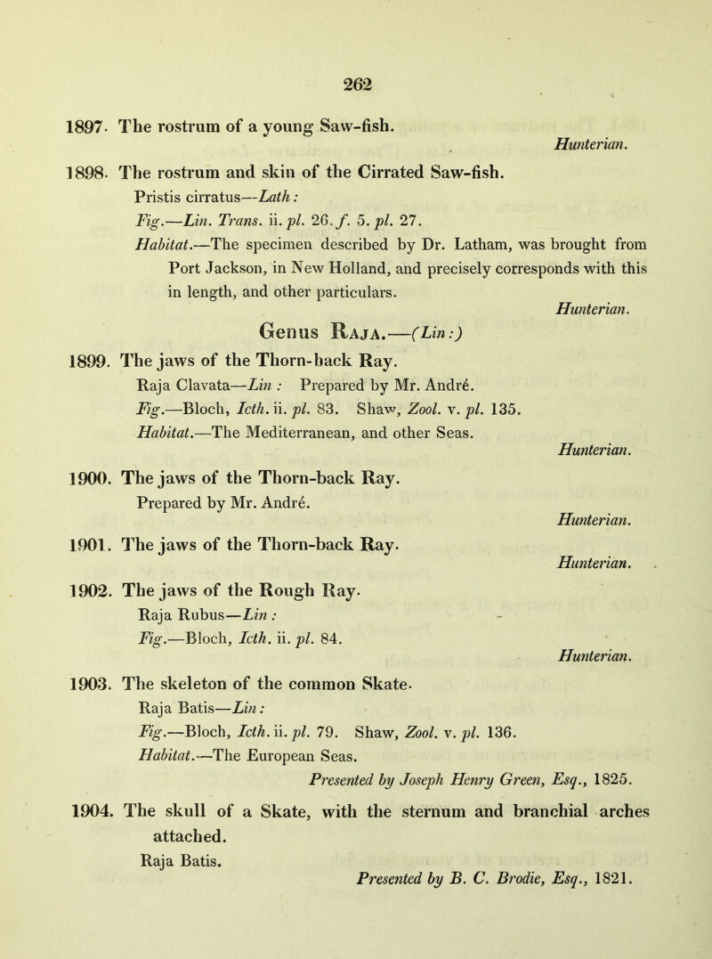 1897. The rostrum of a young Saw-fish. 1898. The rostrum and skin of the Cirrated Saw-fish. Hunterian. Pristis cirratus—Lath: Fig.—Lin. Trans, ii.pl. 26./. 5. 27. Habitat.—The specimen described by Dr. Latham, was brought from Port Jackson, in New Holland, and precisely corresponds with this in length, and other particulars. Hunterian. Genus Raja.—(Lin:) 1899. The jaws of the Thorn-back Ray. Raja Clavata—Lin : Prepared by Mr. Andr^. Fig.—'Bloch, Icth.ii. pi. 83. Shaw, Zool. y. pi. 135. Habitat.—The Mediterranean, and other Seas. Hunterian. 1900. The jaws of the Thorn-back Ray. Prepared by Mr. Andre. Hunterian. 1901. The jaws of the Thorn-back Ray. Hunterian. 1902. The jaws of the Rough Ray. Raja Rubus—Zm ; Fig.—Bloch, Icth. ii. pi. 84. Hunterian. 1903. The skeleton of the common Skate. Raja Batis—Lm: Fig.—Bloch, Lcth. ii. pi. 79. Shaw, Zool. v. pi. 136. Habitat.—The European Seas. Presented by Joseph Henry Green, Esq., 1825. 1904. The skull of a Skate, with the sternum and branchial arches attached. Raja Batis. Presented by B. C. Brodie, Esq., 1821.