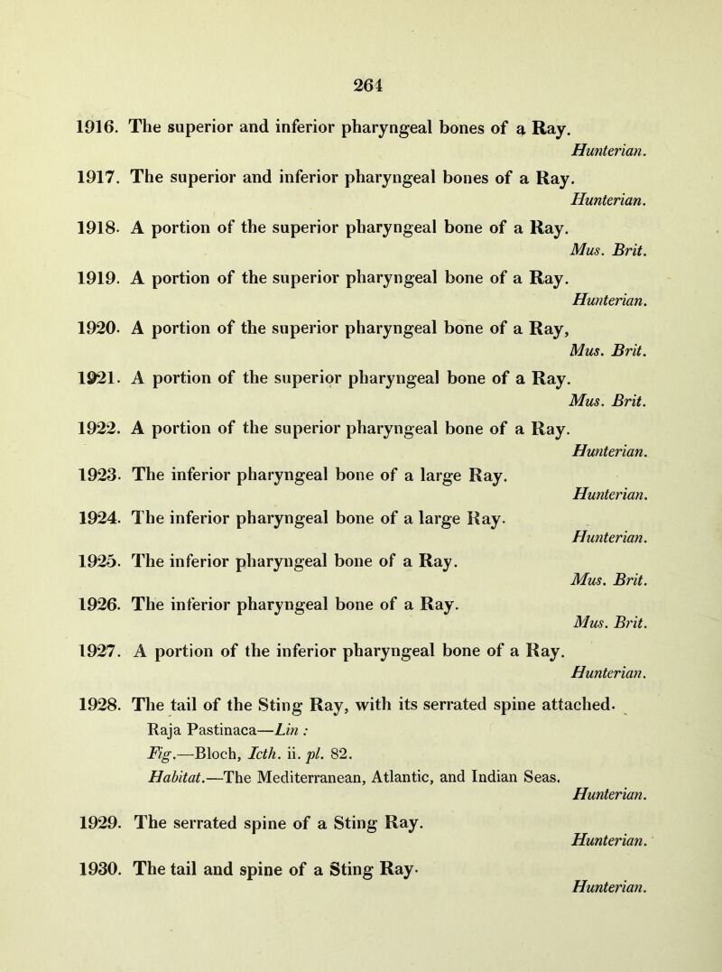 1916. 1917. 1918. 1919. 1920. 1921. 1922. 1923. 1924. 1925. 1926. 1927. 1928. 1929. 1930. The superior and inferior pharyngeal bones of a Ray. Hunterian. The superior and inferior pharyngeal bones of a Ray. Hunterian. A portion of the superior pharyngeal bone of a Ray. Mus. Brit. A portion of the superior pharyngeal bone of a Ray. Hunterian. A portion of the superior pharyngeal bone of a Ray, Mus. Brit. A portion of the superior pharyngeal bone of a Ray. Mus. Brit. A portion of the superior pharyngeal bone of a Ray. Hunterian. The inferior pharyngeal bone of a large Ray. The inferior pharyngeal bone of a large Kay. The inferior pharyngeal bone of a Ray. The inferior pharyngeal bone of a Ray. A portion of the inferior pharyngeal bone of a Ray. Hunterian. Hunterian. Mus. Brit. Mus. Brit. Hunterian. The tail of the Sting Ray, with its serrated spine attached. Raja Pastinaca—Lin : Fig.—Bloch, Icth. ii. pi. 82. Habitat.—The Mediterranean, Atlantic, and Indian Seas. Hunterian. The serrated spine of a Sting Ray. Hunterian. The tail and spine of a Sting Ray.