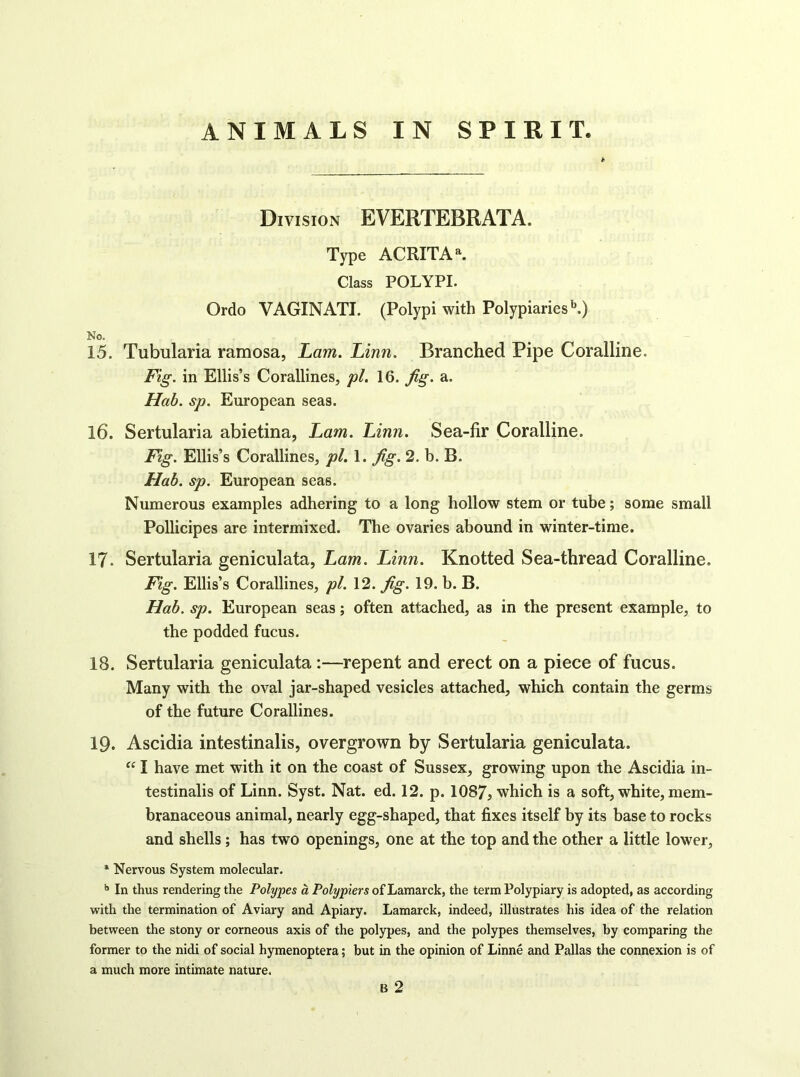 Division EVERTEBRATA. Type ACRITA^ Class POLYPI. Ordo VAGINATI. (Polypi with Polypiaries’’.) No. 15. Tubularia ramosa, Lam. Linn. Branched Pipe Coralline. Fig. in Ellis’s Corallines, pi. 16. fig. a. Hab. sp. European seas. 16. Sertularia abietina, Lam. Linn. Sea-fir Coralline. Fig. Ellis’s Corallines, pi. 1. fig. 2. b. B. Hab. sp. European seas. Numerous examples adhering to a long hollow stem or tube; some small Pollicipes are intermixed. The ovaries abound in winter-time. 17. Sertularia geniculata, Lam. Linn. Knotted Sea-thread Coralline. Fig. Ellis’s Corallines, pi. 12. fig. 19. b. B. Hab. sp. European seas; often attached, as in the present example, to the podded fucus. 18. Sertularia geniculata:—repent and erect on a piece of fucus. Many with the oval jar-shaped vesicles attached, which contain the germs of the future Corallines. 19. Ascidia intestinalis, overgrown by Sertularia geniculata. “ I have met with it on the coast of Sussex, growing upon the Ascidia in- testinalis of Linn. Syst. Nat. ed. 12. p. 1087, which is a soft, white, mem- branaceous animal, nearly egg-shaped, that fixes itself by its base to rocks and shells; has two openings, one at the top and the other a little lower, * Nervous System molecular. ^ In thus rendering the Polypes a Polypiers of Lamarck, the term Polypiary is adopted, as according with the termination of Aviary and Apiary. Lamarck, indeed, illustrates his idea of the relation between the stony or corneous axis of the polypes, and the polypes themselves, by comparing the former to the nidi of social hymenoptera; but in the opinion of Linne and Pallas the connexion is of a much more intimate nature, B 2