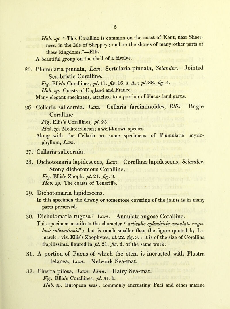 Hah. sp. “ This Coralline is common on the coast of Kent, near Sheer- ness, in the Isle of Sheppey; and on the shores of many other parts of these kingdoms.”—Ellis. A beautiful group on the shell of a bivalve. 25. Plumularia pinnata, Lam. Sertularia pinnata, Solander. Jointed Sea-bristle Coralline. Fig. Ellis’s Corallines, pl.ll. fig. 16. a. A.; pi. 38. fig. 4. Hah. sp. Coasts of England and France. Many elegant specimens, attached to a portion of Fucus lendigerus. 26. Cellaria salicornia, Lam. Cellaria farciminoides, Lllk. Bugle Coralline. Fig. Ellis’s Corallines, pi. 23. Hah. sp. Mediterranean; a well-known species. Along with the Cellaria are some specimens of Plumularia myrio- phyllum, Lam. 27. Cellarin'salicornia. 28. Dichotomaria lapidescens, Lam. Corallina lapidescens, Solander. Stony dichotomous Coralline. Fig. Ellis’s Zooph. pl.2\. fig. 9. Hah. sp. The coasts of Teneriffe. 29. Dichotomaria lapidescens. In this specimen the downy or tomentose covering of the joints is in many parts preserved. 30. Dichotomaria rugosa ? Lam. Annulate rugose Coralline. This specimen manifests the character articulis cylindricis annulato rugu- losissuhcontinuis I but is much smaller than the figure quoted by La- marck ; viz. Ellis’s Zoophytes, pi. 22. fig. 3.; it is of the size of Corallina fragilissima, figured in pi. 2\. fig. d. of the same work. 31. A portion of Fucus of which the stem is incrusted with Flustra telacea, Lam. Network Sea-mat. 32. Flustra pilosa, Lam. Linn. Hairy Sea-mat. Fig. Ellis’s Corallines, pi. 31. h. Hah. sp. European seas; commonly encrusting Fuci and other marine