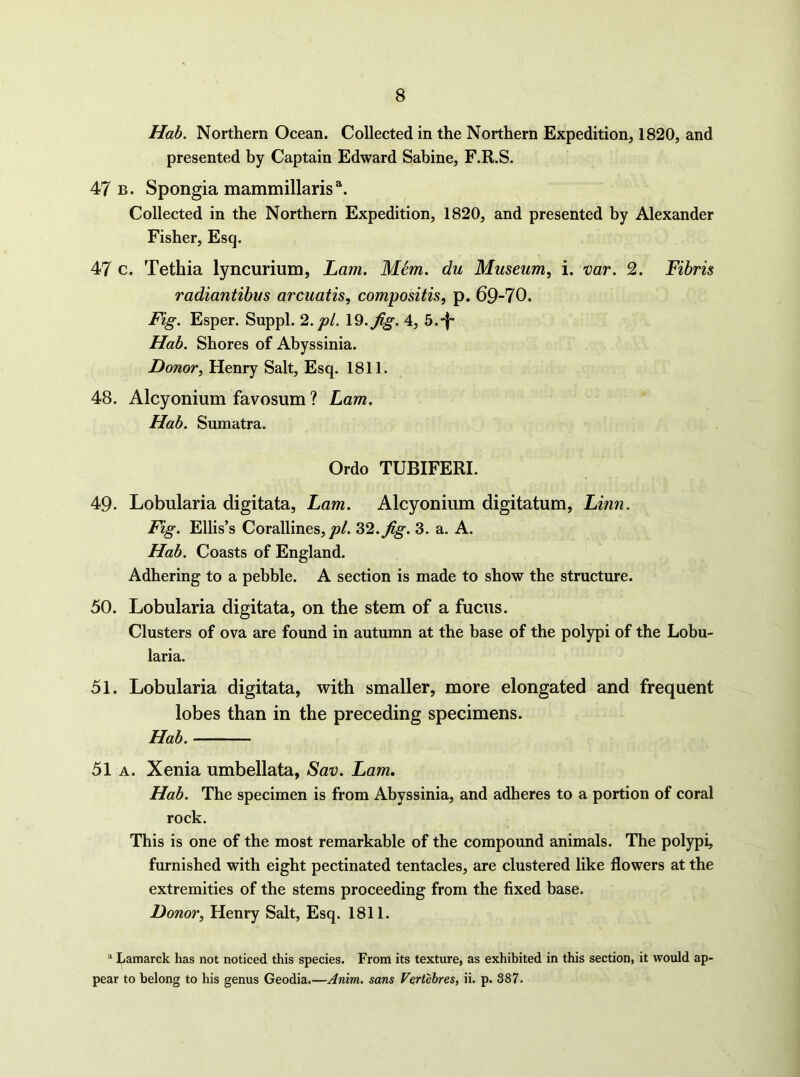 Hah. Northern Ocean. Collected in the Northern Expedition, 1820, and presented by Captain Edward Sabine, F.R.S. 47 b. Spongia mammillaris®^. Collected in the Northern Expedition, 1820, and presented by Alexander Fisher, Esq. 47 c. Tethia lyncurium, ham. Mem. du Museum, i. mr. 2. Fibris radiantibus arcuatis, compositis, p. 69-70. Fig. Esper. Suppl. 2. pi. 19.^g. 4, S.-f- Hah. Shores of Abyssinia. Donor, Henry Salt, Esq. 1811. 48. Alcyonium favosum ? Lam. Hah. Sumatra. Ordo TUBIFERI. 49. Lobularia digitata, Lam. Alcyonium digitatum, Linn. Fig. Ellis’s Corallines,/?/. ^2.fig. 3. a. A. Hah. Coasts of England. Adhering to a pebble. A section is made to show the structure. 50. Lobularia digitata, on the stem of a fucus. Clusters of ova are found in autumn at the base of the polypi of the Lobu- laria. 51. Lobularia digitata, with smaller, more elongated and frequent lobes than in the preceding specimens. Hah. 51 A. Xenia umbellata, Sav. Lam. Hah. The specimen is from Abyssinia, and adheres to a portion of coral rock. This is one of the most remarkable of the compound animals. The polypi, furnished with eight pectinated tentacles, are clustered like flowers at the extremities of the stems proceeding from the fixed base. Donor, Henry Salt, Esq. 1811. * Lamarck has not noticed this species. From its texture, as exhibited in this section, it would ap- pear to belong to his genus Geodia.—Anim. sans Vertebres, ii. p. 387.