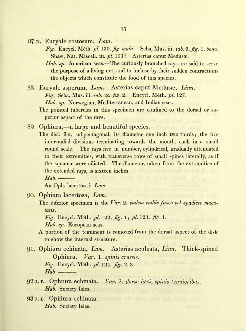 87 B. Euryale costosum, Lam, Fig. Encycl. Meth. pi. \dO.Jig. mala. Seba, Mus. iii. tab. 9. fig. 1. bona. Shaw, Nat. Miscell. iii. pi. 103 ? Asterias caput Medusae. Hab. sp. American seas.—The curiously branched rays are said to serve the purpose of a living net, and to inclose by their sudden contractions the objects which constitute the food of this species. 88. Euryale asperum, Lam. Asterias caput Medusae, Linn. Fig. Seba, Mus. iii. tab. ix. fig. 2. Encycl. Mdth. pi. 127- Hab. sp. Norwegian, Mediterranean, and Indian seas. The pointed tubercles in this specimen are confined to the dorsal or su- perior aspect of the rays. 89. Ophiura,—a large and beautiful species. The disk flat, subpentagonal, its diameter one inch two-thirds; the five inter-radial divisions terminating towards the mouth, each in a small round scale. The rays five in number, cylindrical, gradually attenuated to their extremities, with transverse rows of small spines laterally, as if the squamae were ciliated. The diameter, taken from the extremities of the extended rays, is sixteen inches. Hab. An Oph. lacertosa? Lam. 90. Ophiura lacertosa, Lam. The inferior specimen is the Far. 2. eadem radiis fiasco vel spadiceo macu- latis. Fig. Encycl. Mdth. pi. 122. fig. 4 ; /?/. 123. fig. 1. Hab. sp. European seas. A portion of the tegument is removed from the dorsal aspect of the disk to show the internal structure. 91. Ophiura echinata, Lam. Asterias aculeata, Linn. Thick-spined Ophiura. Var. 1. spinis crassis. Fig. Encycl. Meth. pi. 124. fig. 2, 3. Hab. 92 J.B. Ophiura echinata. Var. 2. dorso IcEvi, spinis tenuioribiis. Hab. Society Isles. 93 j. B. Ophiura echinata. Hab. Society Isles.