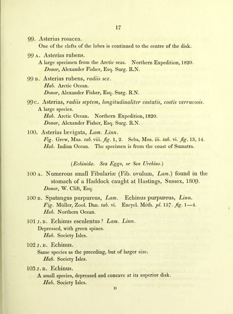 99- Asterias rosacea. One of the clefts of the lobes is continued to the centre of the disk. 99 a. Asterias rubens. A large specimen from the Arctic seas. Northern Expedition, 1820. Donor, Alexander Fisher, Esq. Surg. R.N. 99 B. Asterias rubens, radik sex. Hah. Arctic Ocean. Donor, Alexander Fisher, Esq. Surg. R.N. 99c. Asterias, radiis septem, longitudinaliter costatis, costis verrucosis. A large species. Hab. Arctic Ocean. Northern Expedition, 1820. Donor, Alexander Fisher, Esq. Surg. R.N. 100. Asterias laevigata, Lam. Linn. Fig. Grew, Mus. tab.mn. fig. 1, 2. Seba, Mus. iii. tab. vi. fig. 13, 14. Hab. Indian Ocean. The specimen is from the coast of Sumatra. [Echinida. Sea Eggs, or Sea Urchins.) 100 a. Numerous small Fibulariae (Fib. ovulum, Lam.) found in the stomach of a Haddock caught at Hastings, Sussex, 1809. Donor, W. Clift, Esq. 100 b. Spatangus purpureus, Lam. Echinus purpureus, Linn. Fig. Muller, Zool. Dan. tab. vi. Encycl. Meth. pi. 157- fig. 1—4. Hab. Northern Ocean. 101 j.B. Echinus esculentus? Lam. Linn. Depressed, with green spines. Hab. Society Isles. 102 J.B. Echinus. Same species as the preceding, but of larger size. Hab. Society Isles. 103J.B. Echinus. A small species, depressed and concave at its superior disk. Hab. Society Isles. D