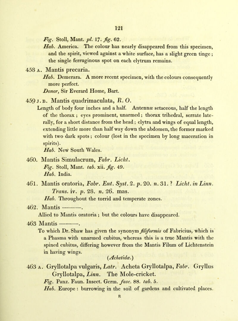 Fig. Stoll, Mant. pi. 17- fig. 62. Hab. America. The colour has nearly disappeared from this specimen, and the spirit, viewed against a white surface, has a slight green tinge ; the single ferruginous spot on each elytrum remains. 458 A. Mantis precaria. Hab. Demerara. A more recent specimen, with the colours consequently more perfect. DonoVy Sir Everard Home, Bart. 459 J.B. Mantis quadrimaculata, R. O. Length of body four inches and a half. Antennae setaceous, half the length of the thorax ; eyes prominent, unarmed; thorax trihedral, serrate late- rally, for a short distance from the head ; elytra and wings of equal length, extending little more than half way down the abdomen, the former marked with two dark spots ; colour (lost in the specimen by long maceration in spirits). Hab. New South Wales. 460. Mantis Simulacrum, Fahr. Licht. Fig. Stoll, Mant. tab. xii. fig. 49. Hab. India. 461. Mantis oratoria, Fabr. Ent. Syst. 2. p. 20. w. 31. ? Licht. in Linn. Trans, iv. p. 28. n. 26. mas. Hab. Throughout the torrid and temperate zones. 462. Mantis . Allied to Mantis oratoria ; but the colours have disappeared. 463 Mantis To which Dr. Shaw has given the synonym filiformis of Fabricius, which is a Phasma with unarmed cubitus, whereas this is a true Mantis with the spined cubitus, differing however from the Mantis Filum of Lichtenstein in having wings. {Achetidcs.) 463 A. Gryllotalpa vulgaris, Latr. Acheta Gryllotalpa, Fabr. Gryllus Gryllotalpa, Linn. The Mole-cricket. Fig. Panz. Faun. Insect. Germ. fasc. 88. tab. 5. Hab. Europe : burrowing in the soil of gardens and cultivated places. R