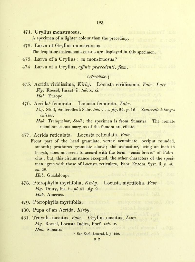 471. Gryllus monstmosus. A specimen of a lighter colour than the preceding. 472. Larva of Gryllus monstruosus. The trophi or instrumenta cibaria are displayed in this specimen. 473. Larva of a Gryllus : an monstruosus ? 474. Larva of a Gryllus, ajfinis pracedenii, fosm. (Acrididcs.) 475. Acrida viridissima, Kirby. Locusta viridissima, Fabr. Latr. Fig. Roesel, Insect, ii. tab. x. xi. Uab. Europe. 476. Acrida^ femorata. Locusta femorata, Fabr. Fig. Stoll, Saulerelles a Sabr. tab. vi. 2.. fig. 22. p. 16. Sauterelle a larges misses. Hob. Tranquebar, Stoll; the specimen is from Sumatra. The crenate membranaceous margins of the femora are ciliate. 477. Acrida reticulata. Locusta reticulata, Fabr. Front part of the head granulate, vertex acuminate, occiput rounded, smooth; prothorax granulate above; the ovipositor, being an inch in length, does not seem to accord with the term ‘^ensis brevis” of Fabri- cius; but, this circumstance excepted, the other characters of the speci- men agree with those of Locusta reticulata, Fabr. Entom. Syst. ii. p. 40. sp. 28. Hab. Guadaloupe. 478. Pterophylla myrtifolia, Kirby. Locusta myrtifolia, Fabr. Fig. Drury, Ins. ii. pi. 41. fig. 2. Hab. America. 479. Pterophylla myrtifolia. 480. Pupa of an Acrida, Kirby. 481. Truxalis nasutus, Fabr. Gryllus nasutus, Linn. Fig. Roesel, Locusta Indica, Praef. tab. iv. Hab. Sumatra. * See Zool. Journal, i. ]p. 429. R 2